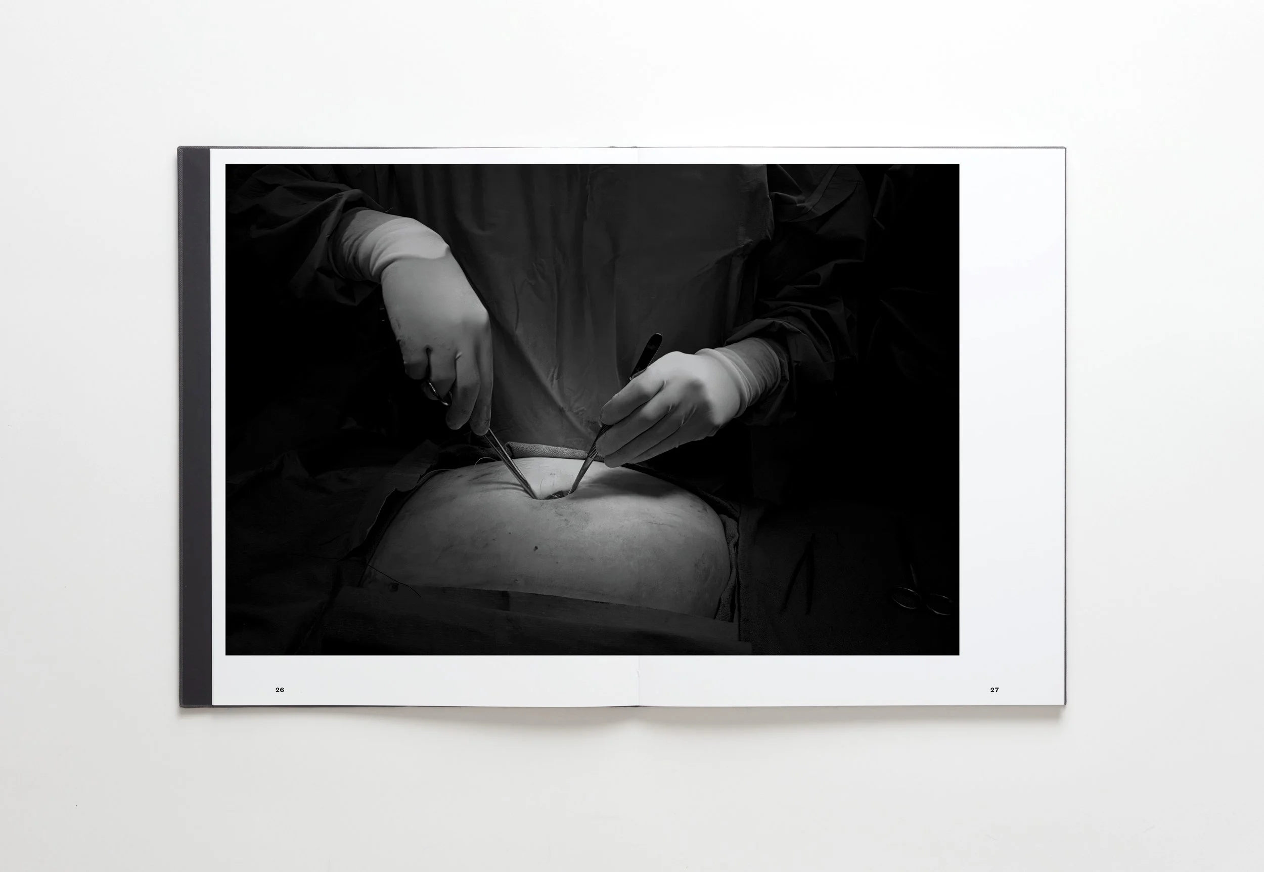 The Precipice, published by Gnomic Book. Released at Paris Photo 2021