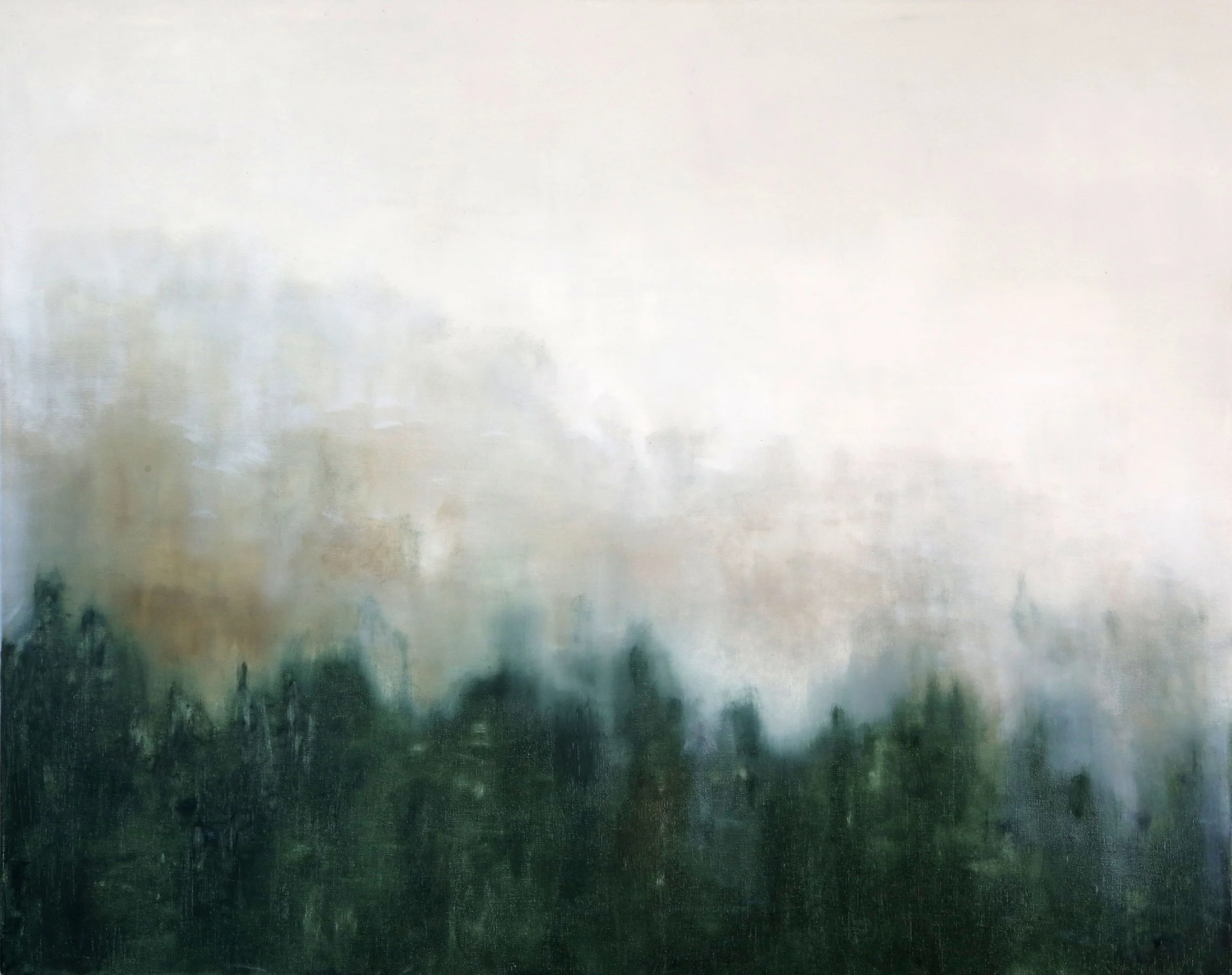 Mist in the Hills, 2017