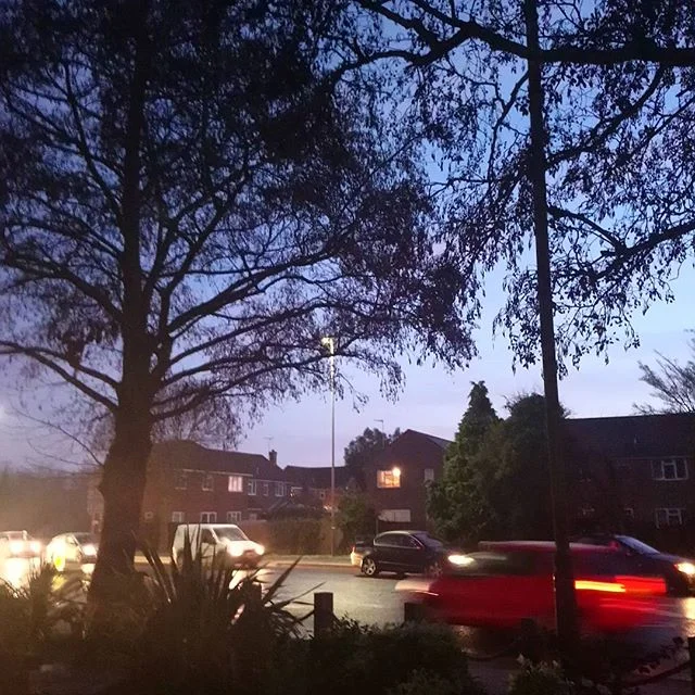 Another morning another tree inspection
#arboriculture
#treeinspection