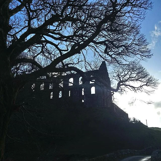 Interesting location
#cwmstradllyn
#treeinspection