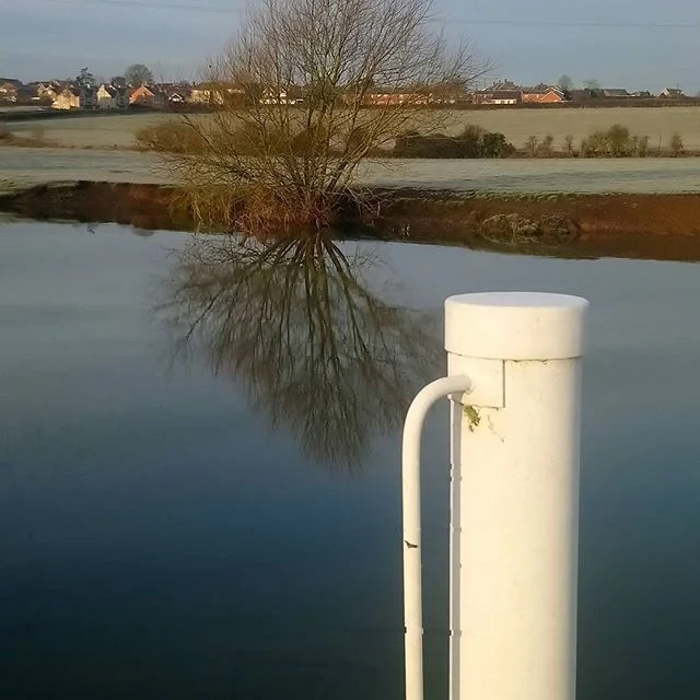 The banks of the silvery Nene
#arboriculture
#treeinspection