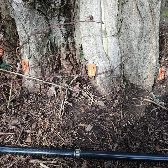 Lucky for some...
#arboriculture
#treeinspection