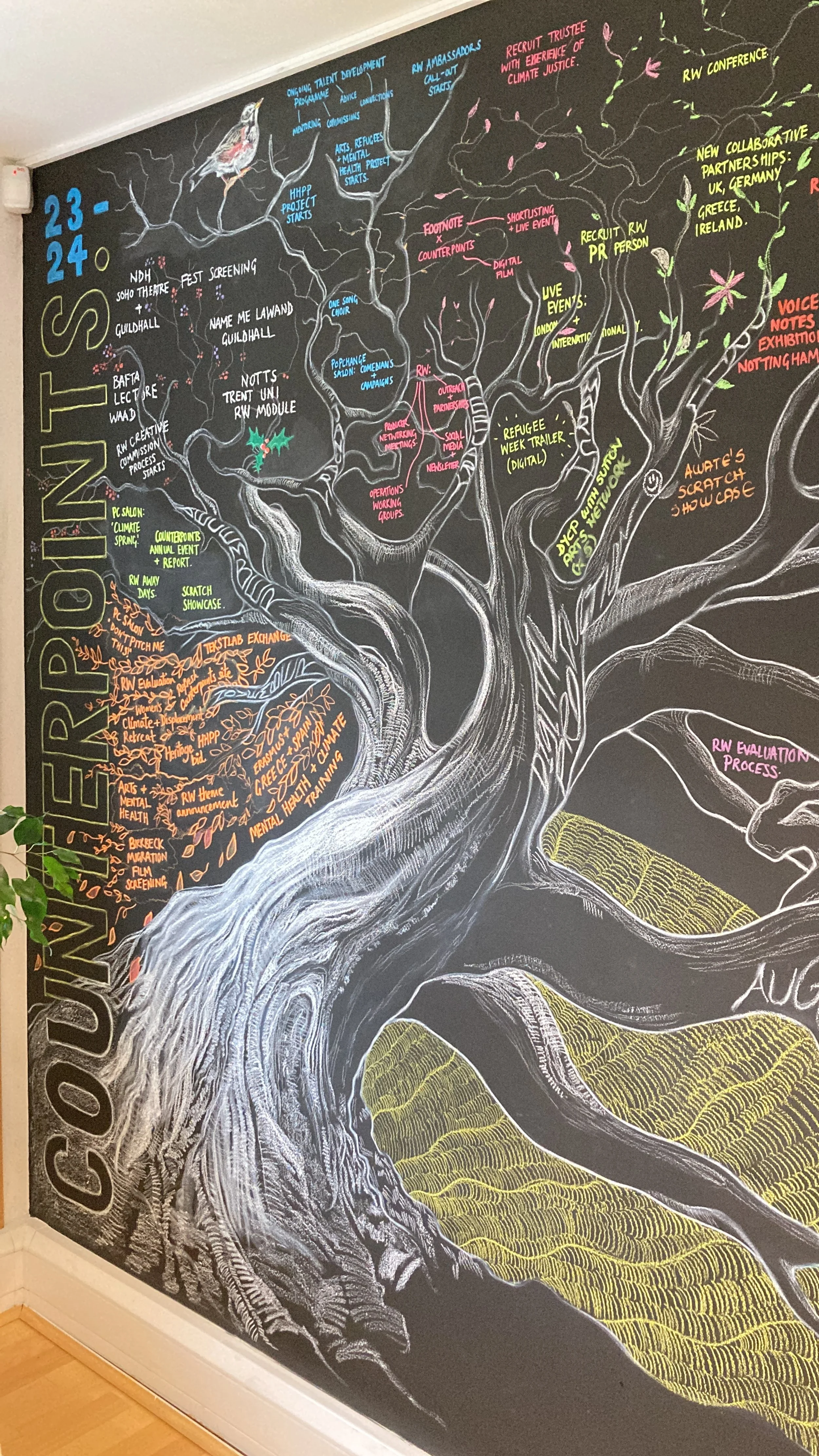 image-asset (1).jpeg