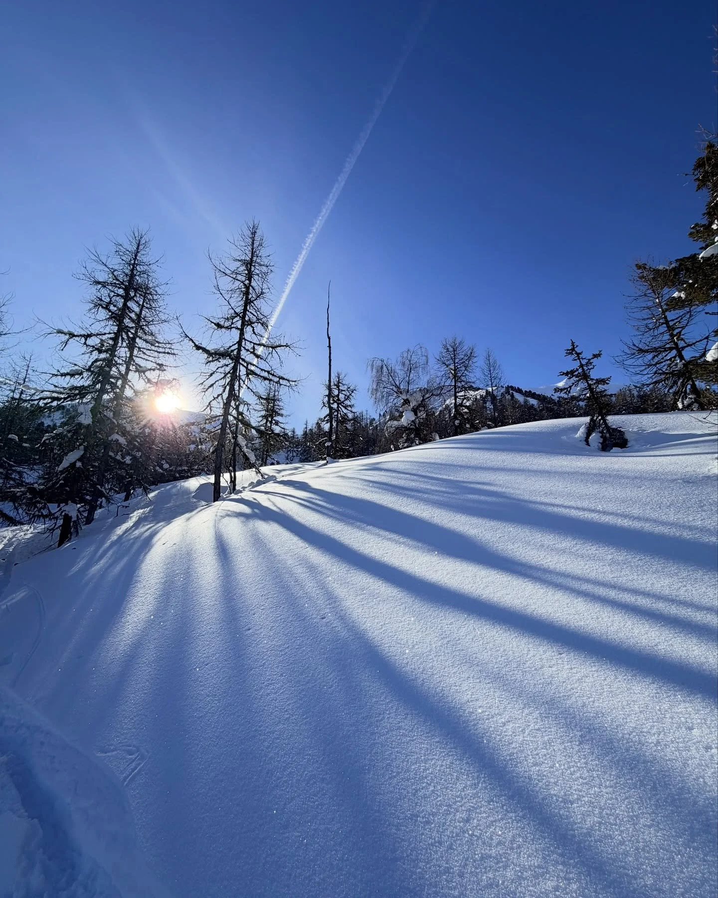 La Plagne delivers. Every. Single. Time. 💙❄️
Blue skies, fresh lines, zero complaints.

#nofilters #LaPlagne #Paradiski #FrenchAlps #SkiFrance #SkiLife #PowderDay #OffPiste #BluebirdDay #SkiSeason #SkiTrip #familyski #ChaletLife #MountainLife #SkiIn