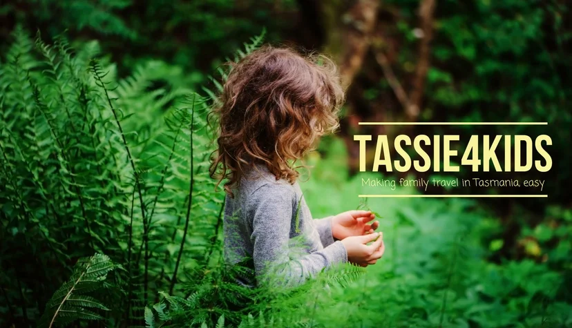 FB BANNER - CORRECT DIMENSIONS.jpg