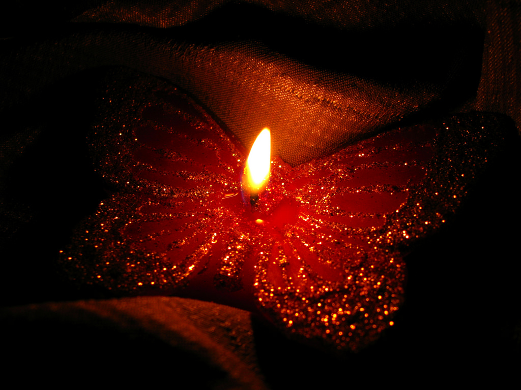 butterfly light candle love.jpg
