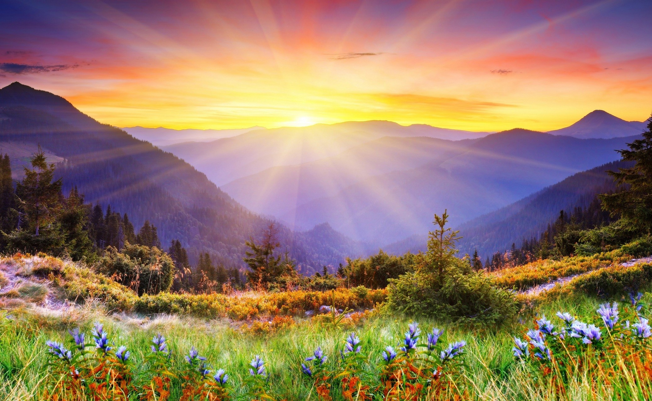 Shining the rays of Reiki to:
