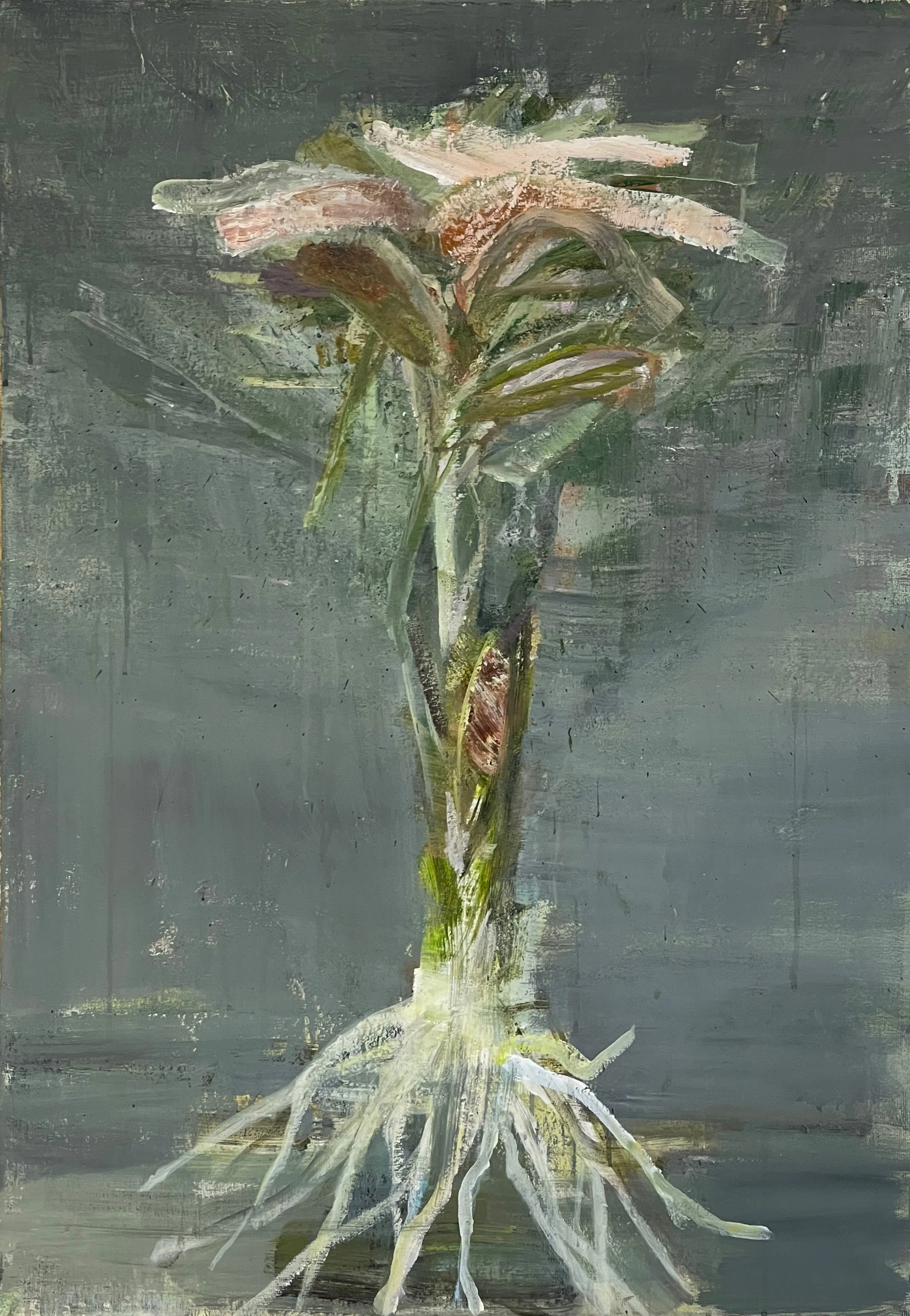 Evelyn Melsom "Råtnende Røtter Og Vekster i Vann"