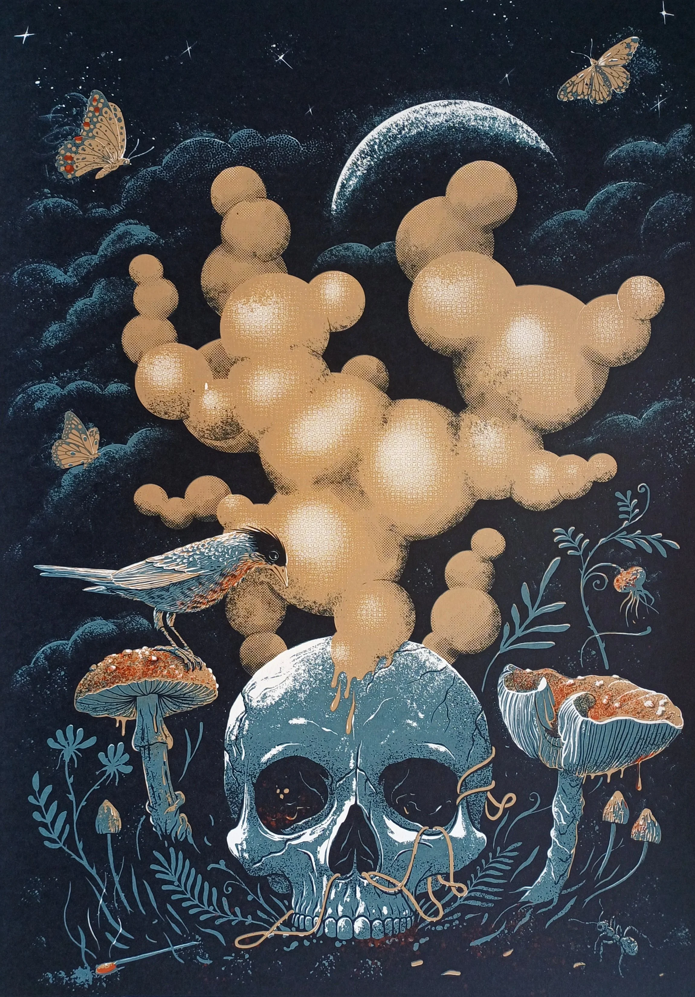 Lars Aurtande "Angus Delirium", silketrykk, 44x63 cm. 4725 kr..jpg