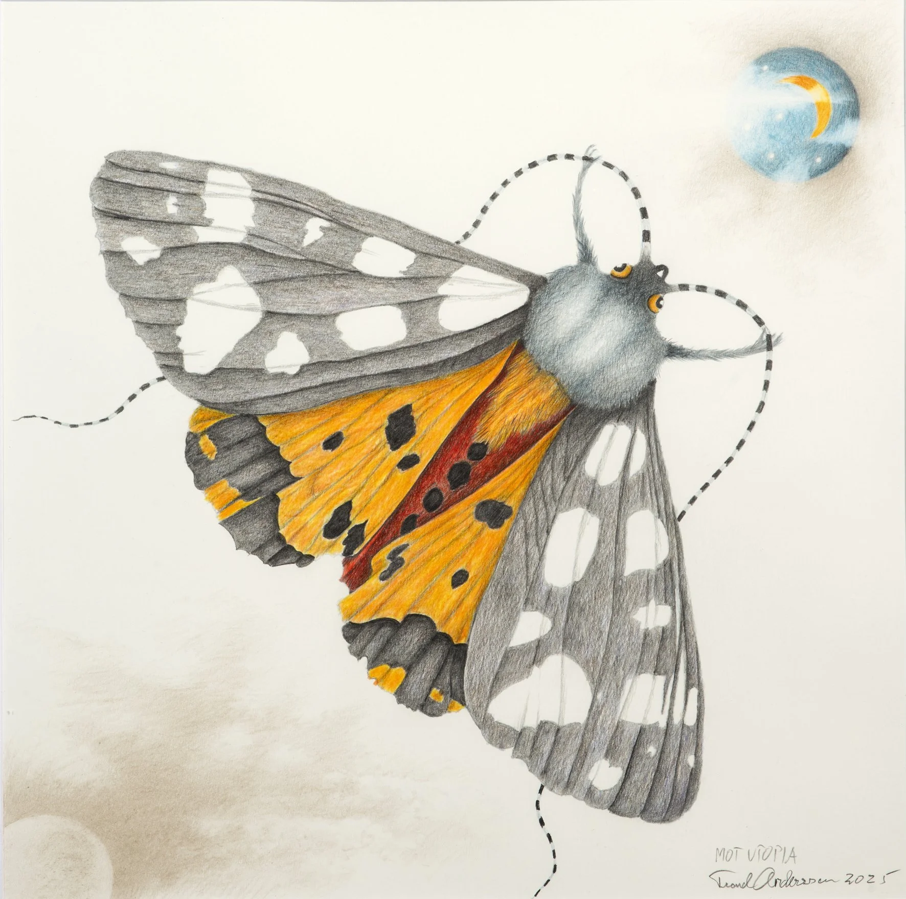 Trond Andersson "Mot Utopia"