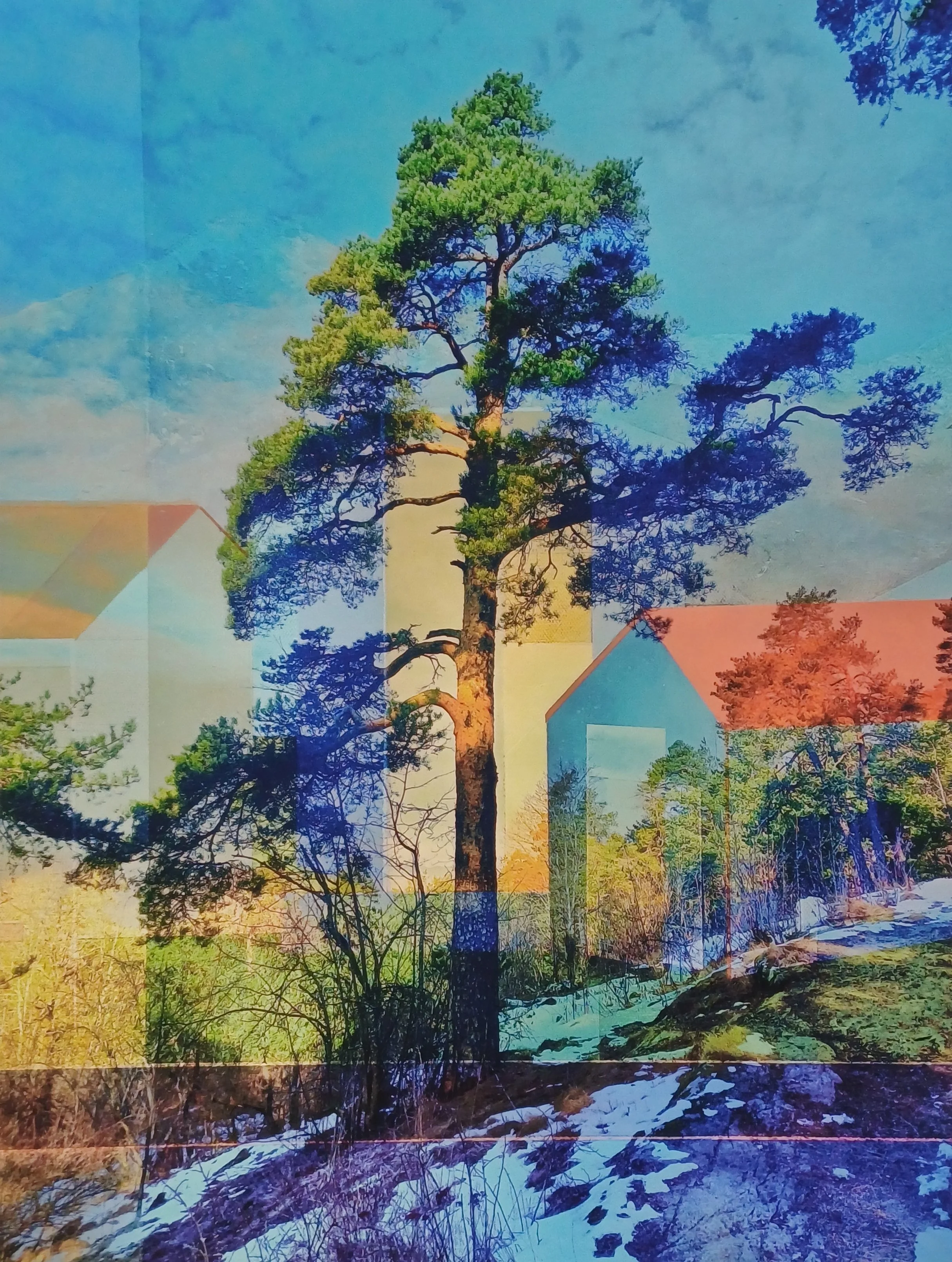 "A cooling place" 18x23,5cm 2835 kr.jpg