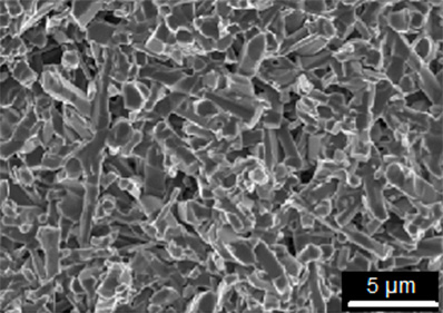 Fig. 1 – Scanning electron microscope image of the microstructure of a porous, high strength silicon nitride ceramic. The elongated whisker morphology develops in-situ during high temperature sintering (courtesy Mr. D. Gould, Dalhousie University)