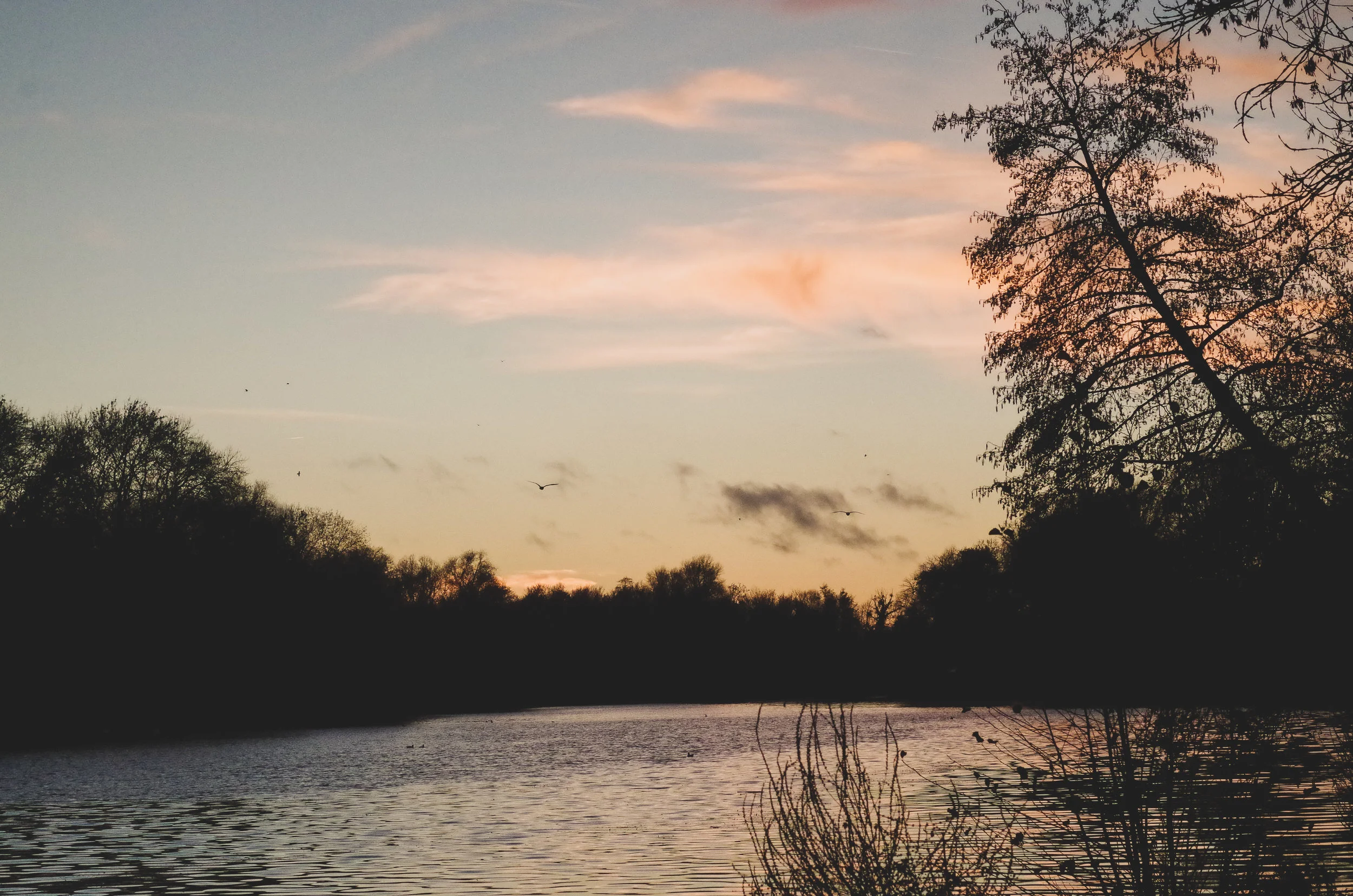 IMGP2117-2.jpg