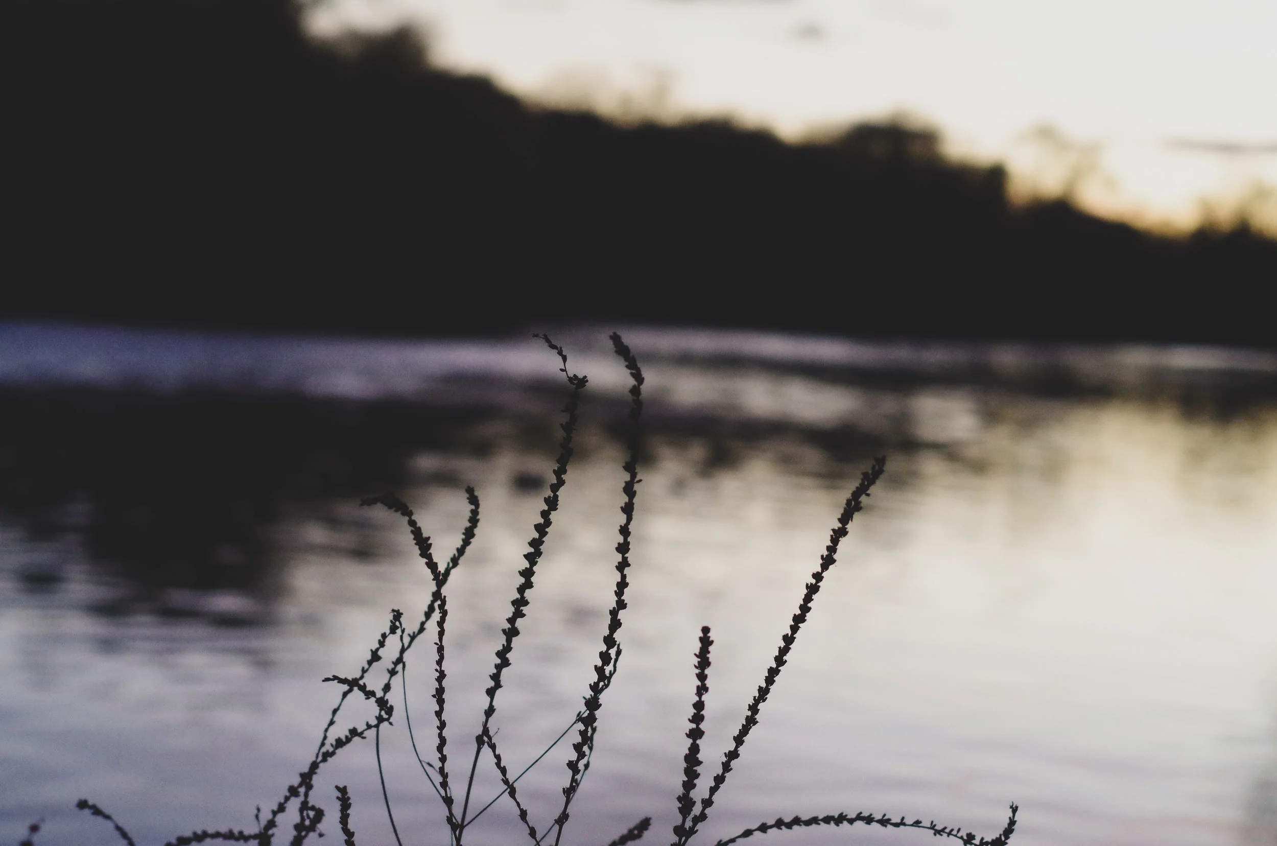 IMGP2222.jpg