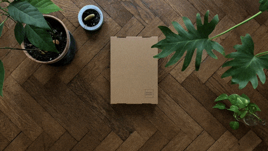 unpack caftan.gif