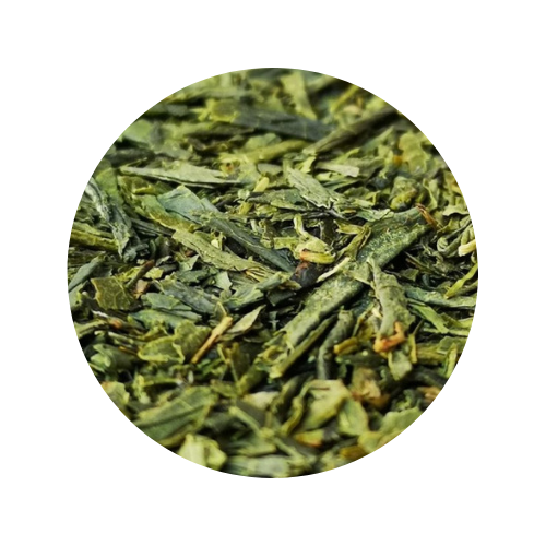 sencha.png