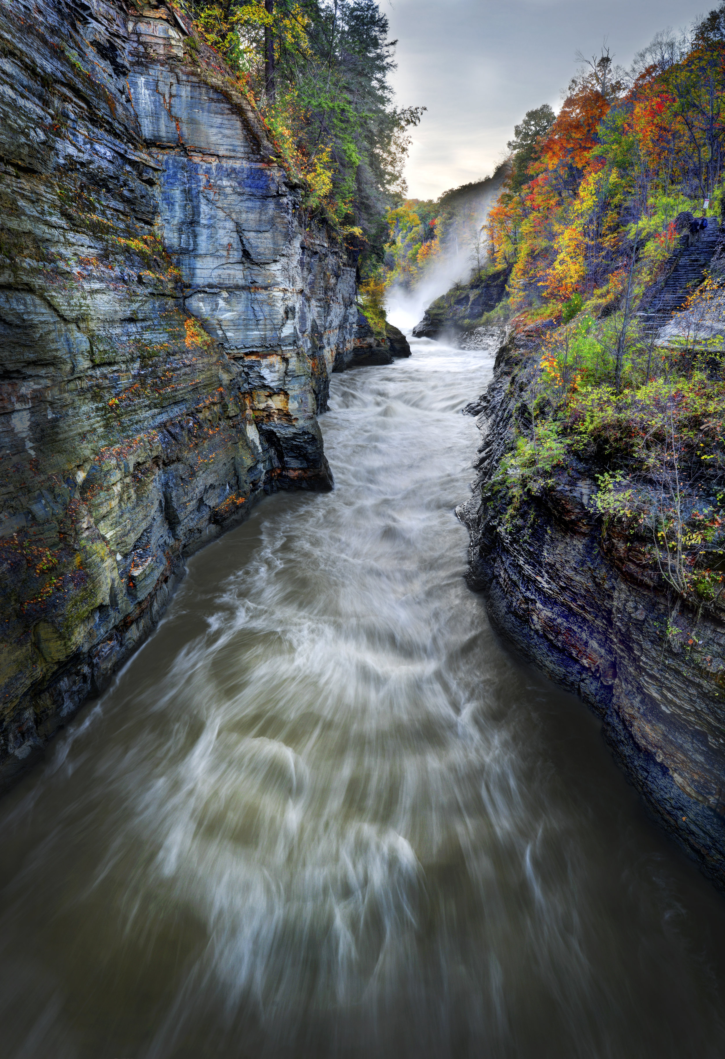 DSC_6357-edited.jpg