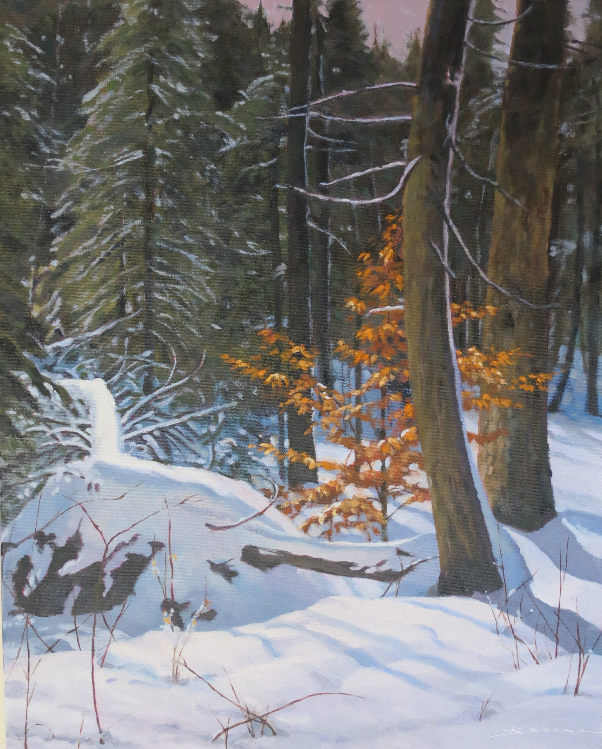  Algonquin Winter, 20 x 16, oil 