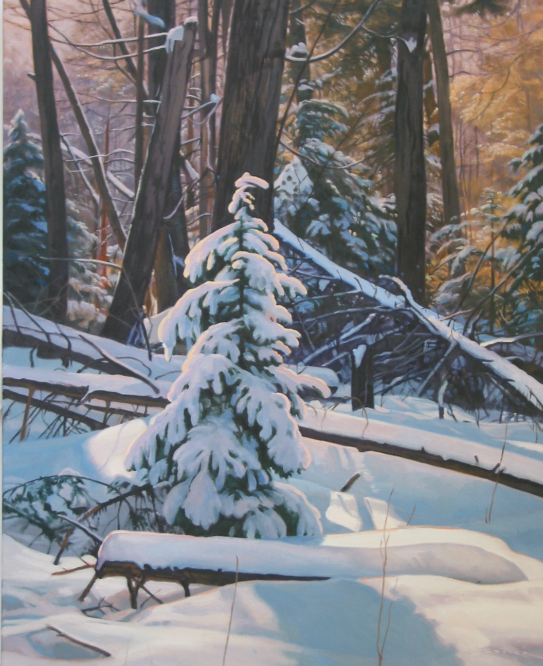  Winter's Light, 30 x 24, oil 