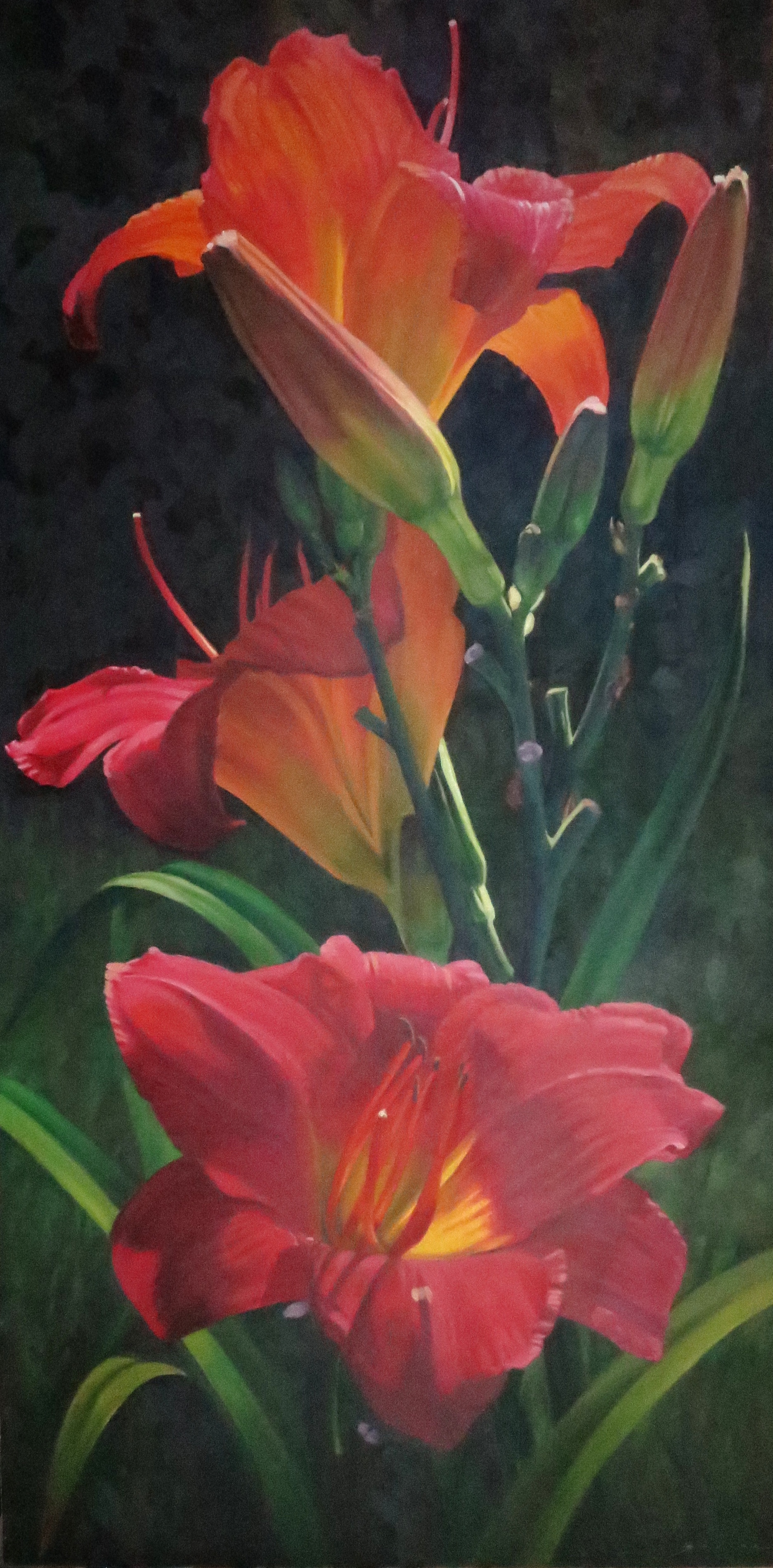  Three Red Lilies,  60 x 30, oil 