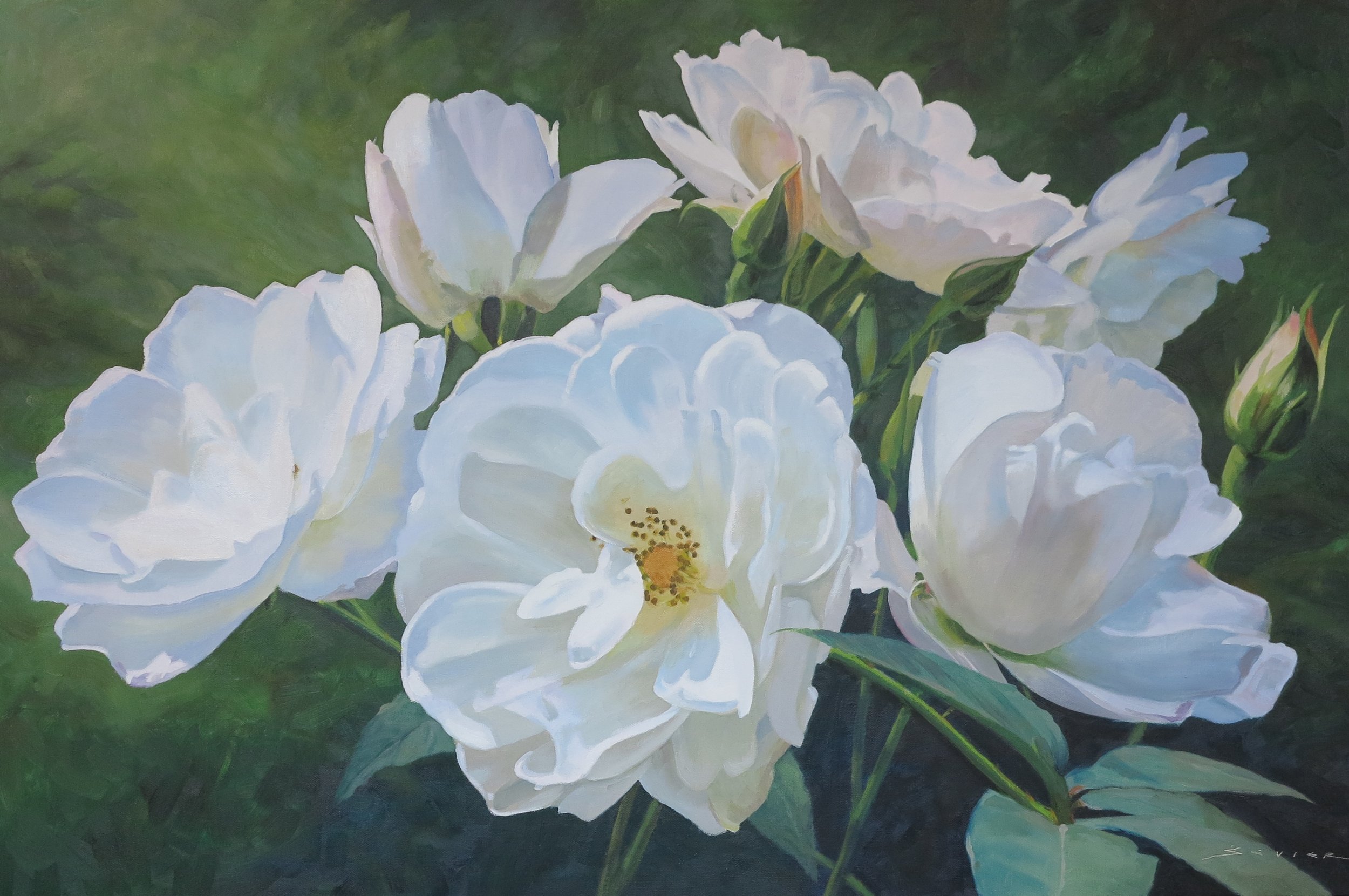  White Roses of Dunkeld &nbsp;  24 x 36, oil 
