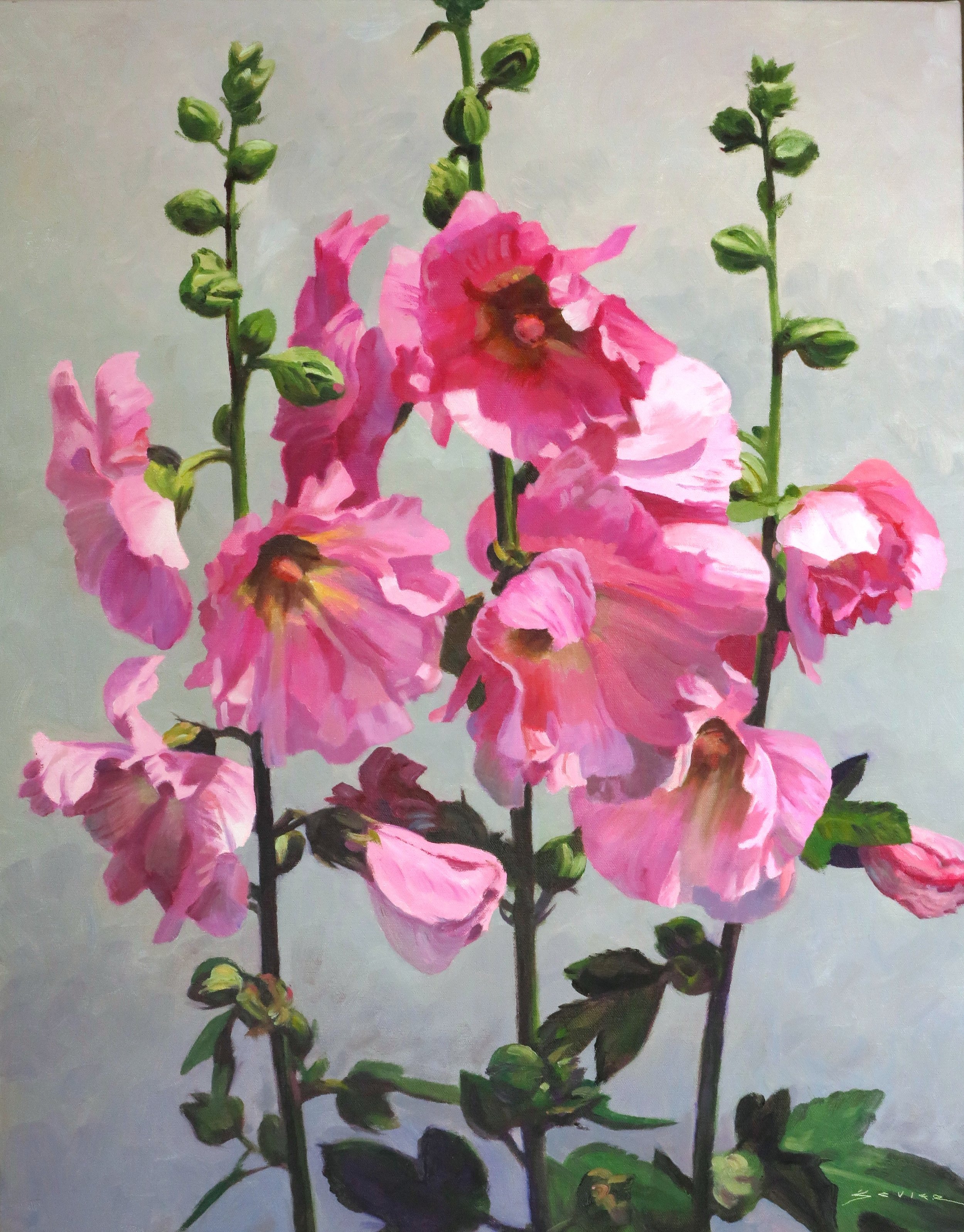  Pink Hollyhocks on a Light Background,  28 x 22, oil 