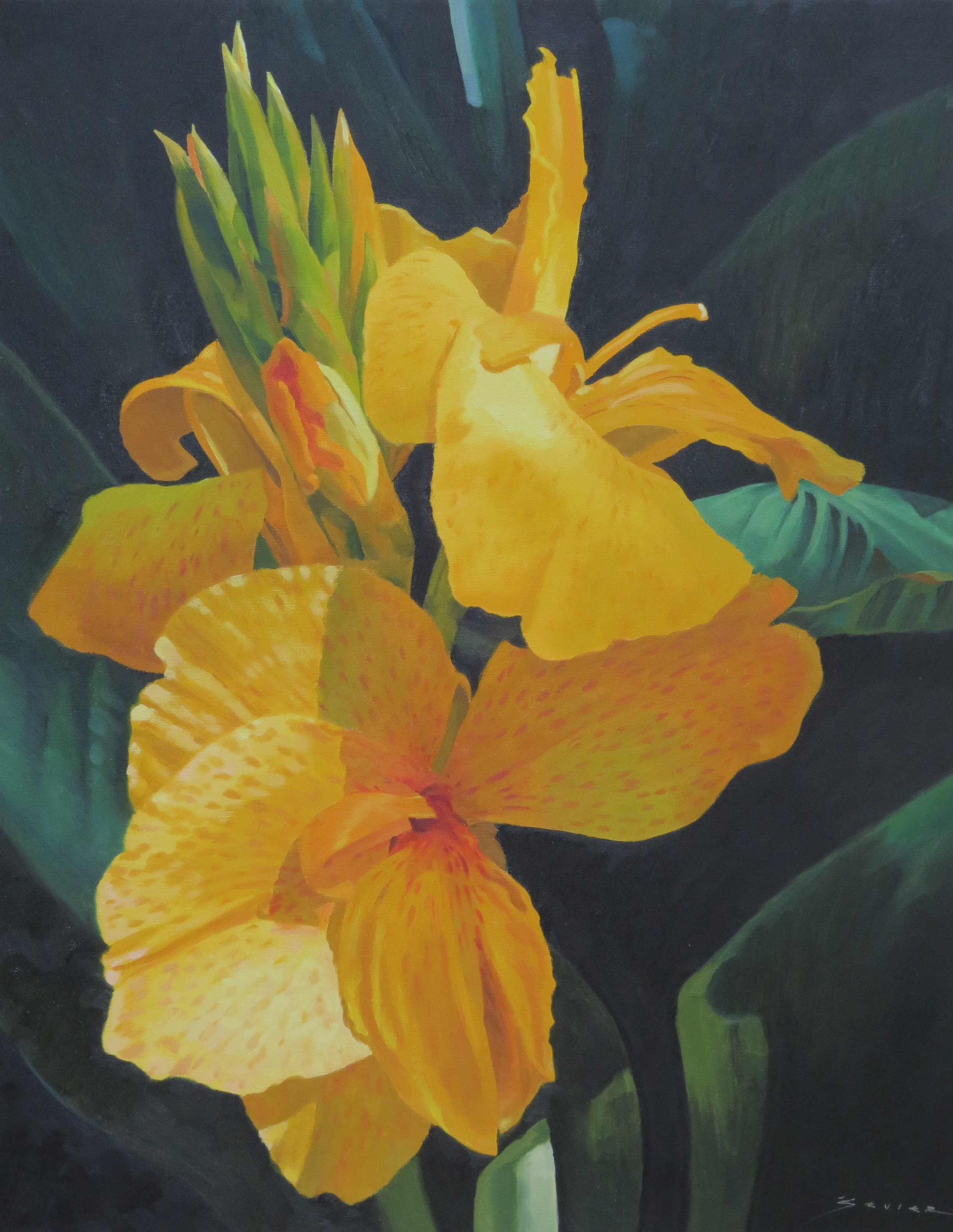  Yellow Calla Lily,  22 x 28, oil 
