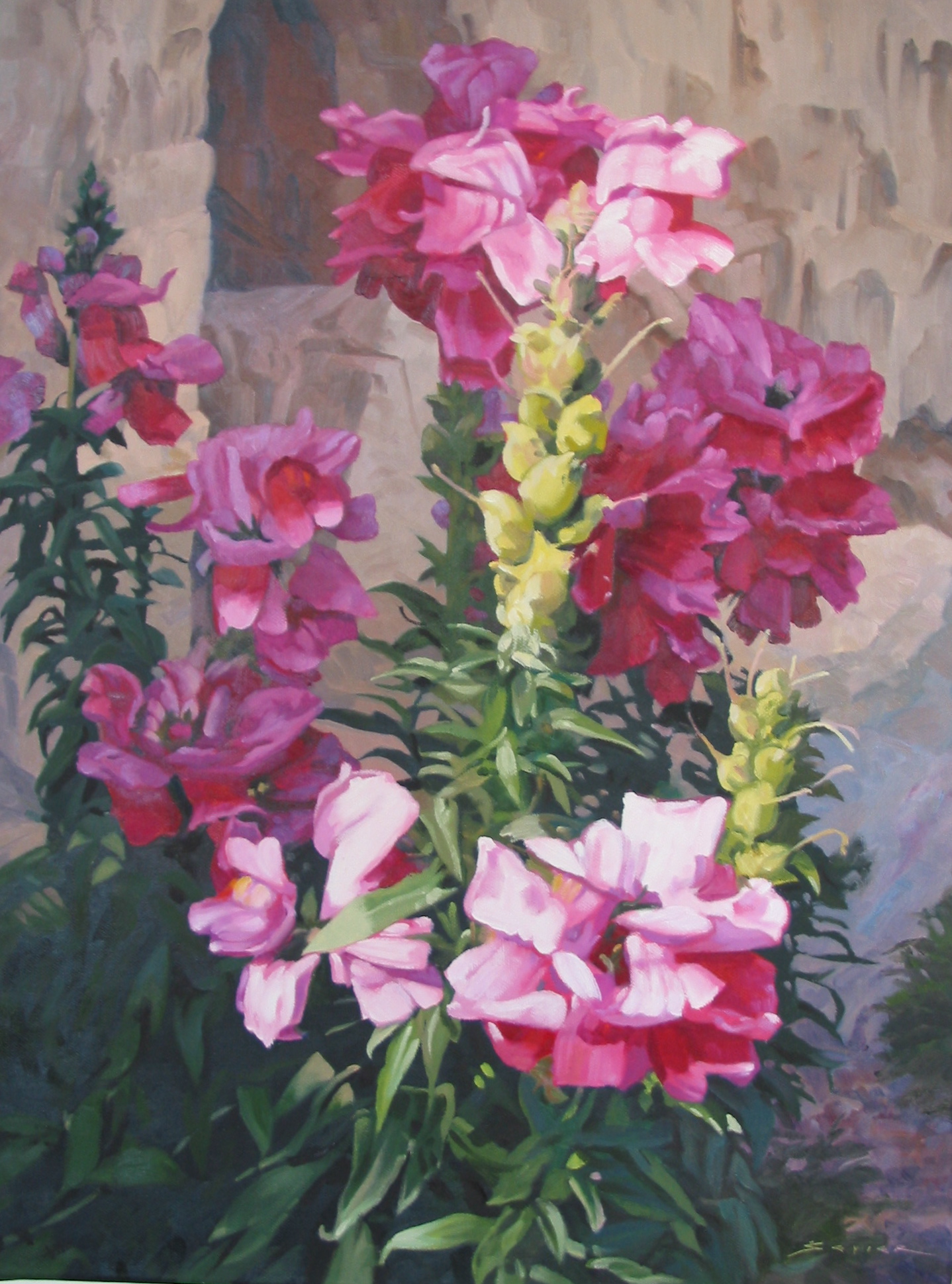  Snapdragon's  Attarxien/Malta,  24 x 18, oil 