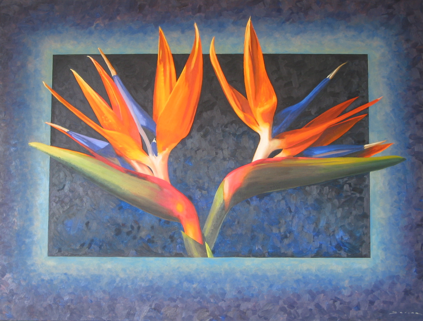  Bird of Paradise,  36, 48, oil 