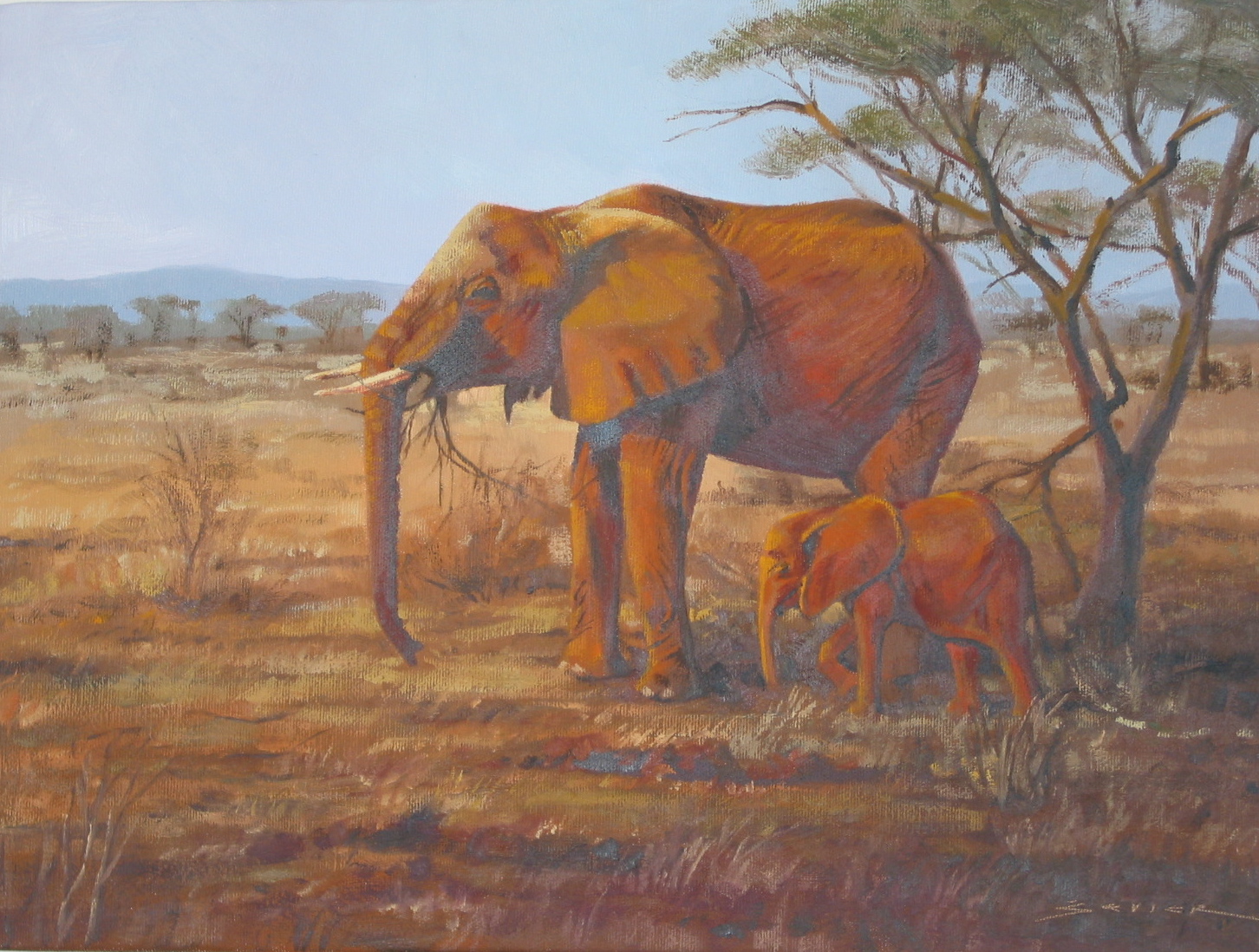           Elephants, Samburu,&nbsp;Kenya, 12 x 16    