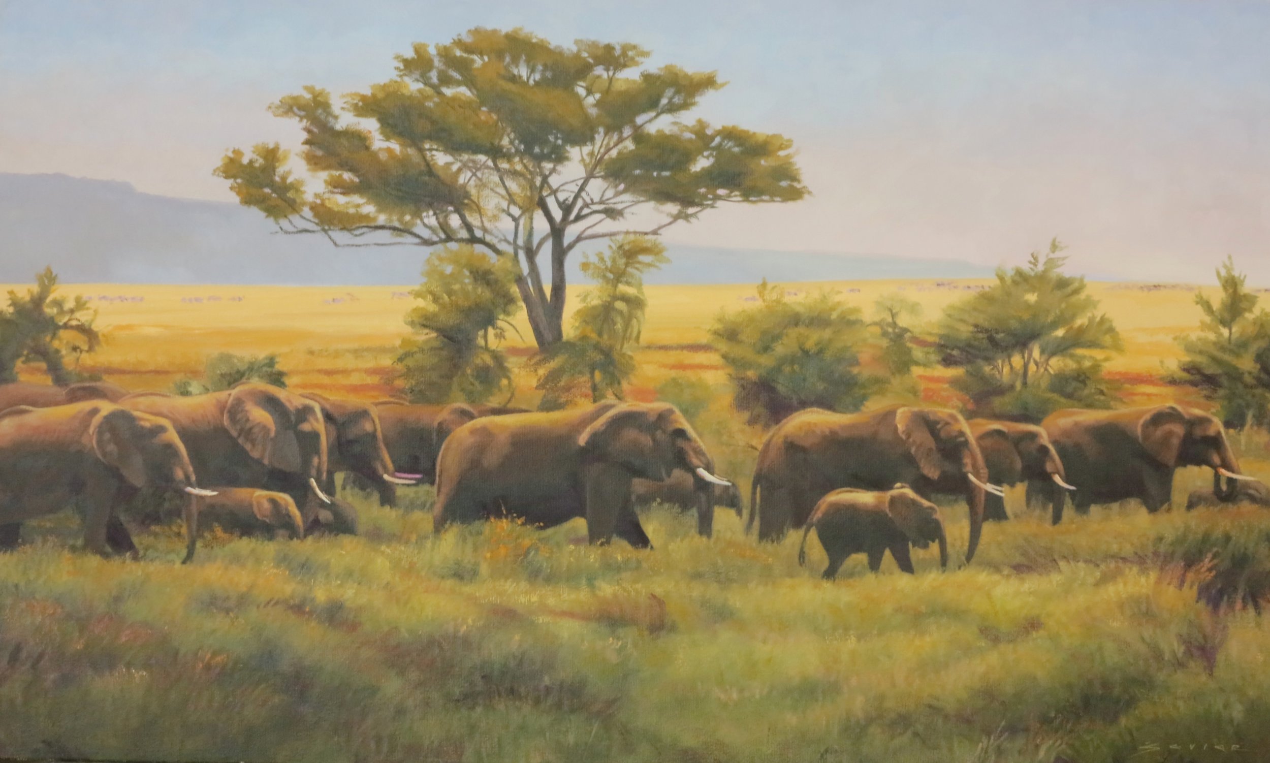  Elephants of the Serengeti/Tanzania, 18 x 30, oil 