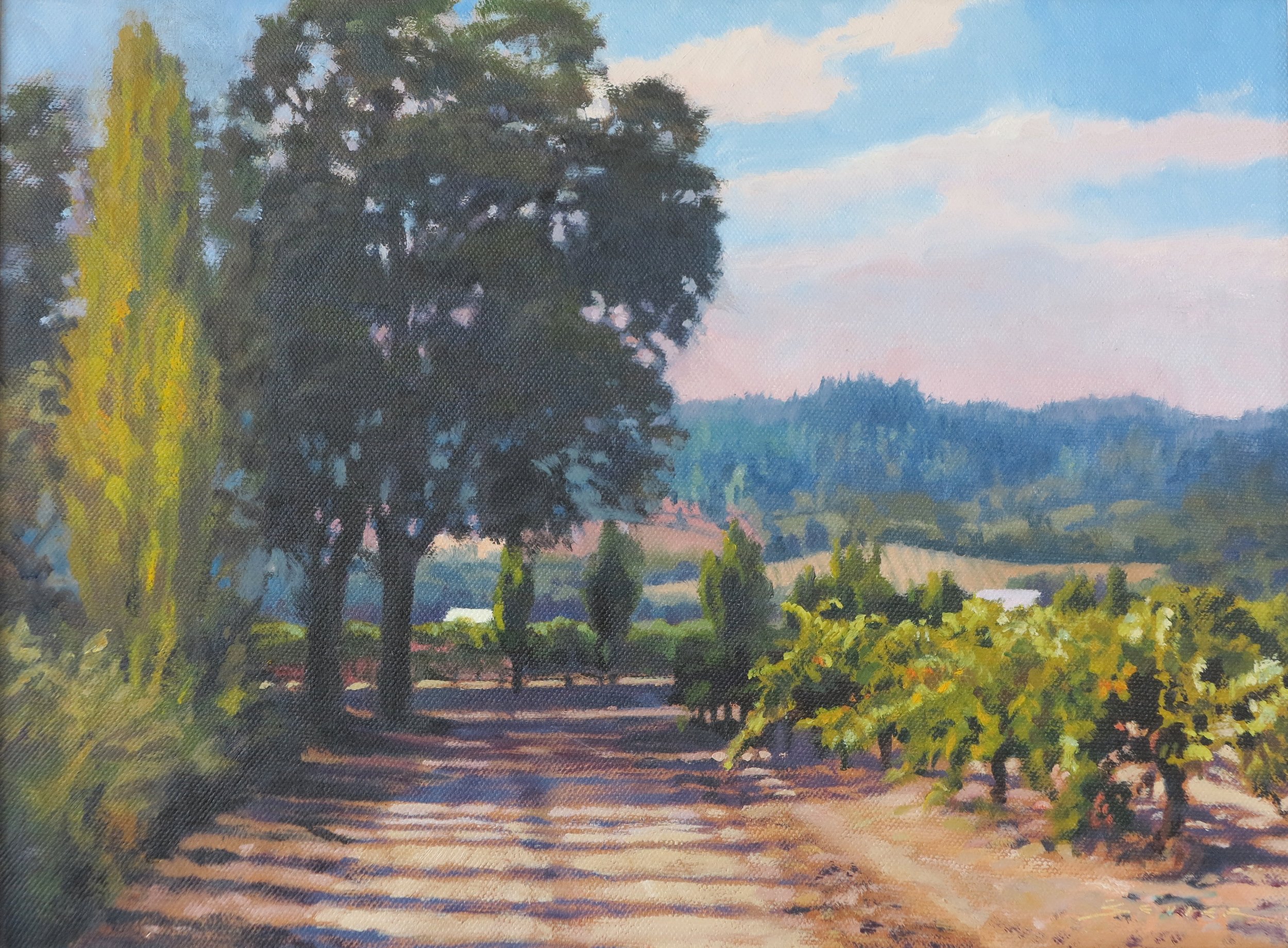  Farniente/Napa, 12 x 16, oil 