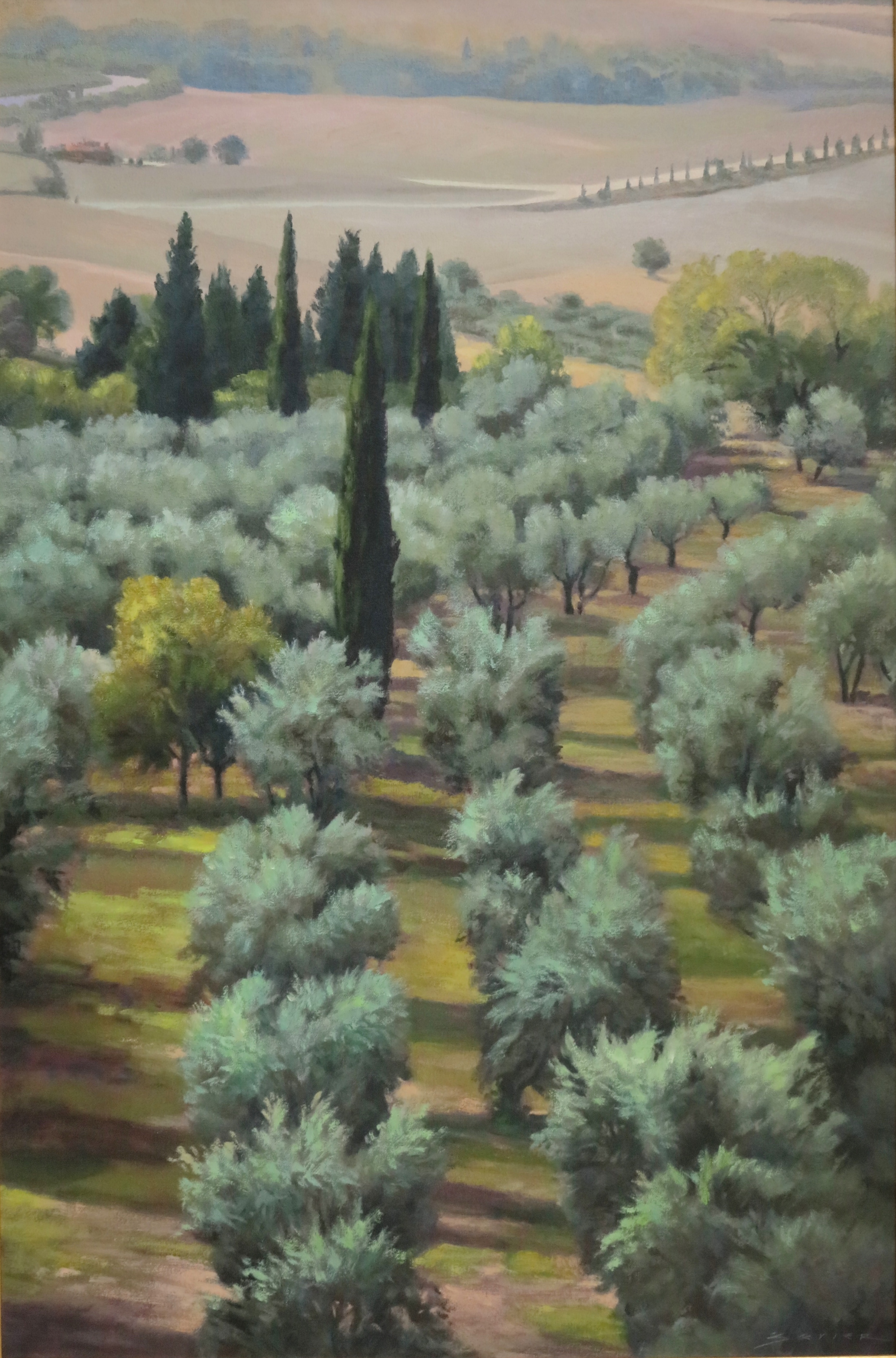  Olive Grove Assisi/Tuscany, 24 x 36 