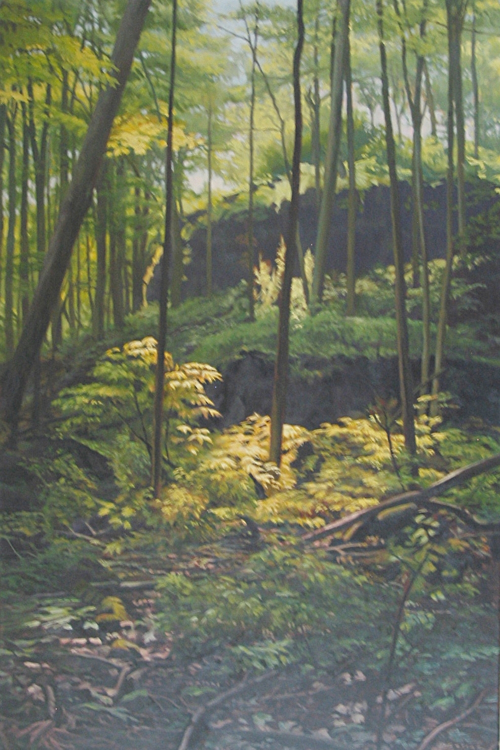  Woods at Angel's Gate Niagara, 36 x 24, oil 