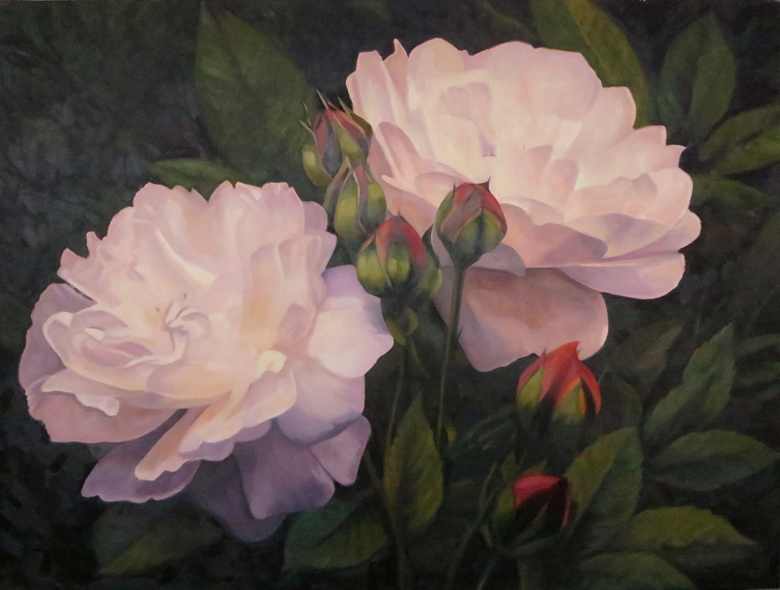  Two Roses on a Dark Background,  30 x 40, oil 