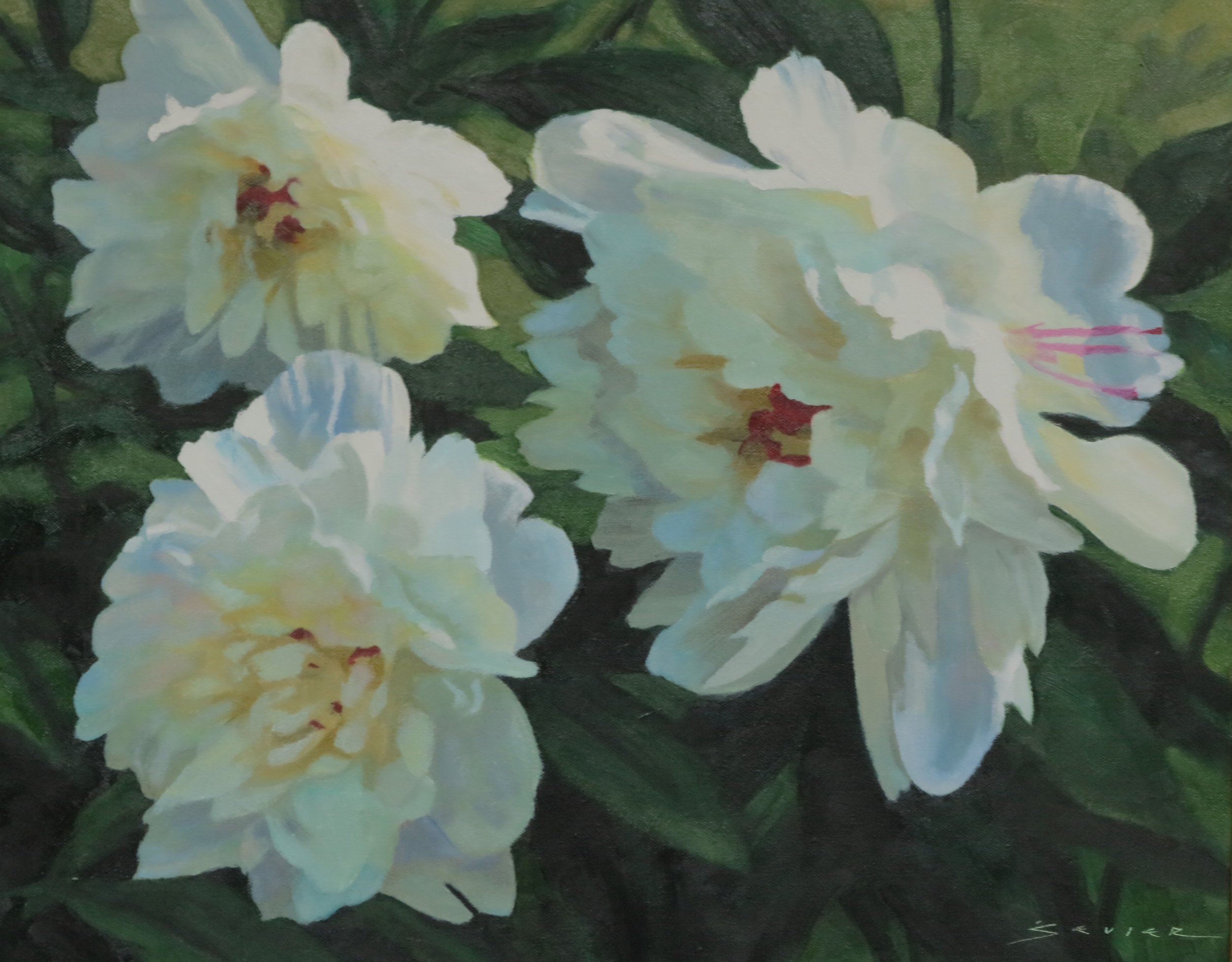 3 White Peonies