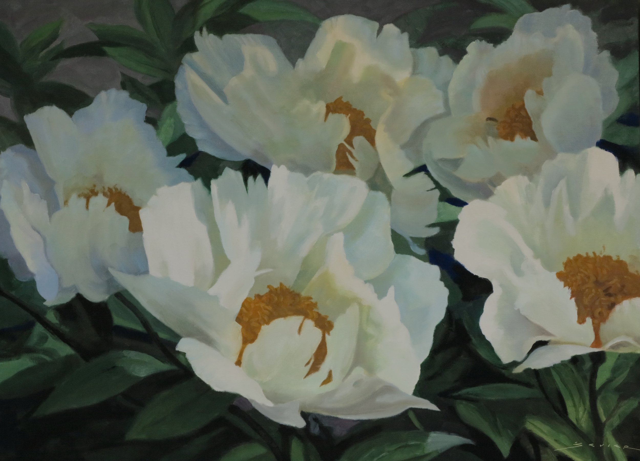 Five White Peonies