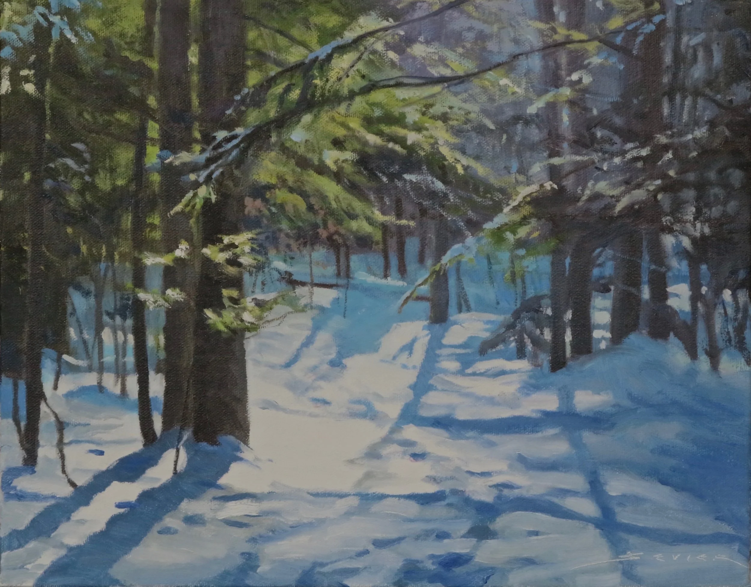 Into The Woods