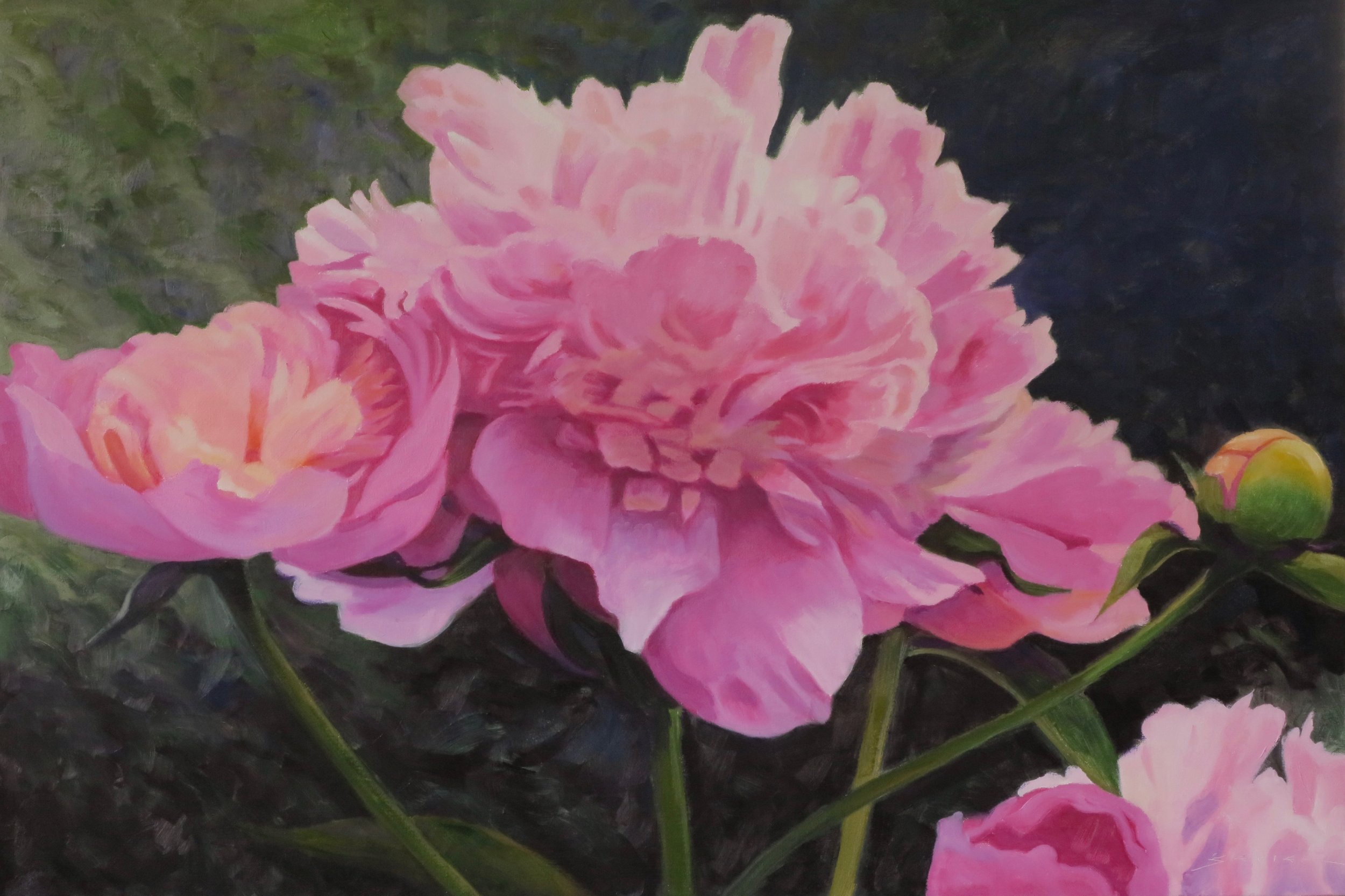 Pink Peonies  24" x 36" oil