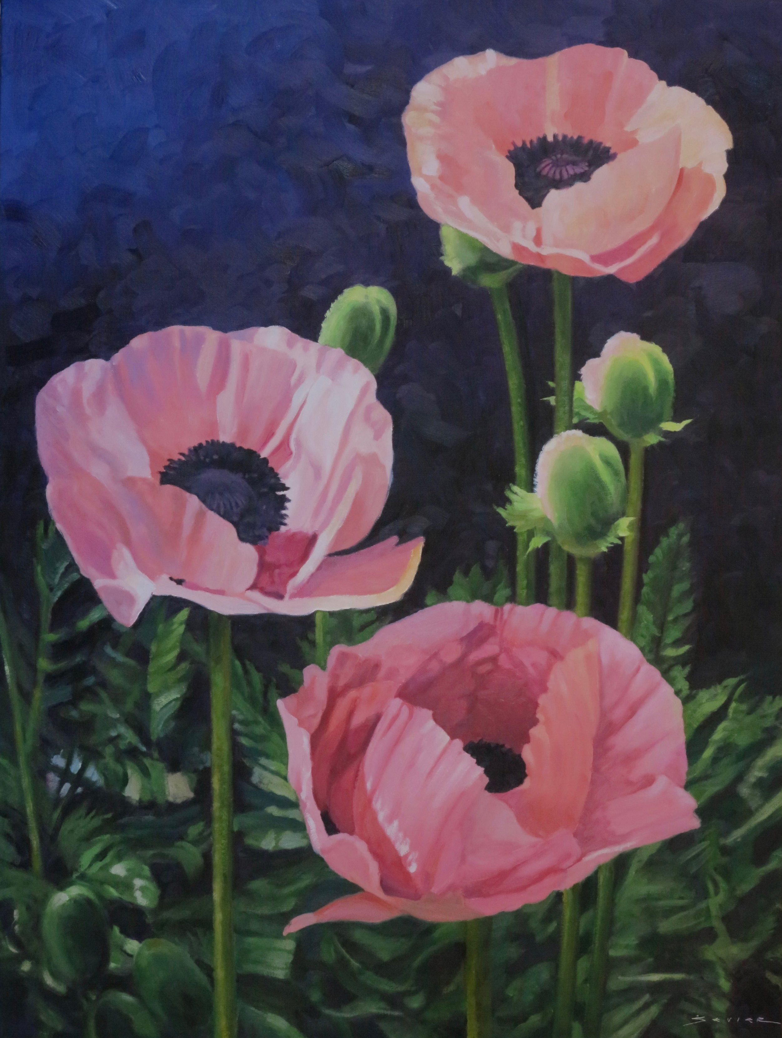 3 Pink Poppies  40” x 30”  oil 