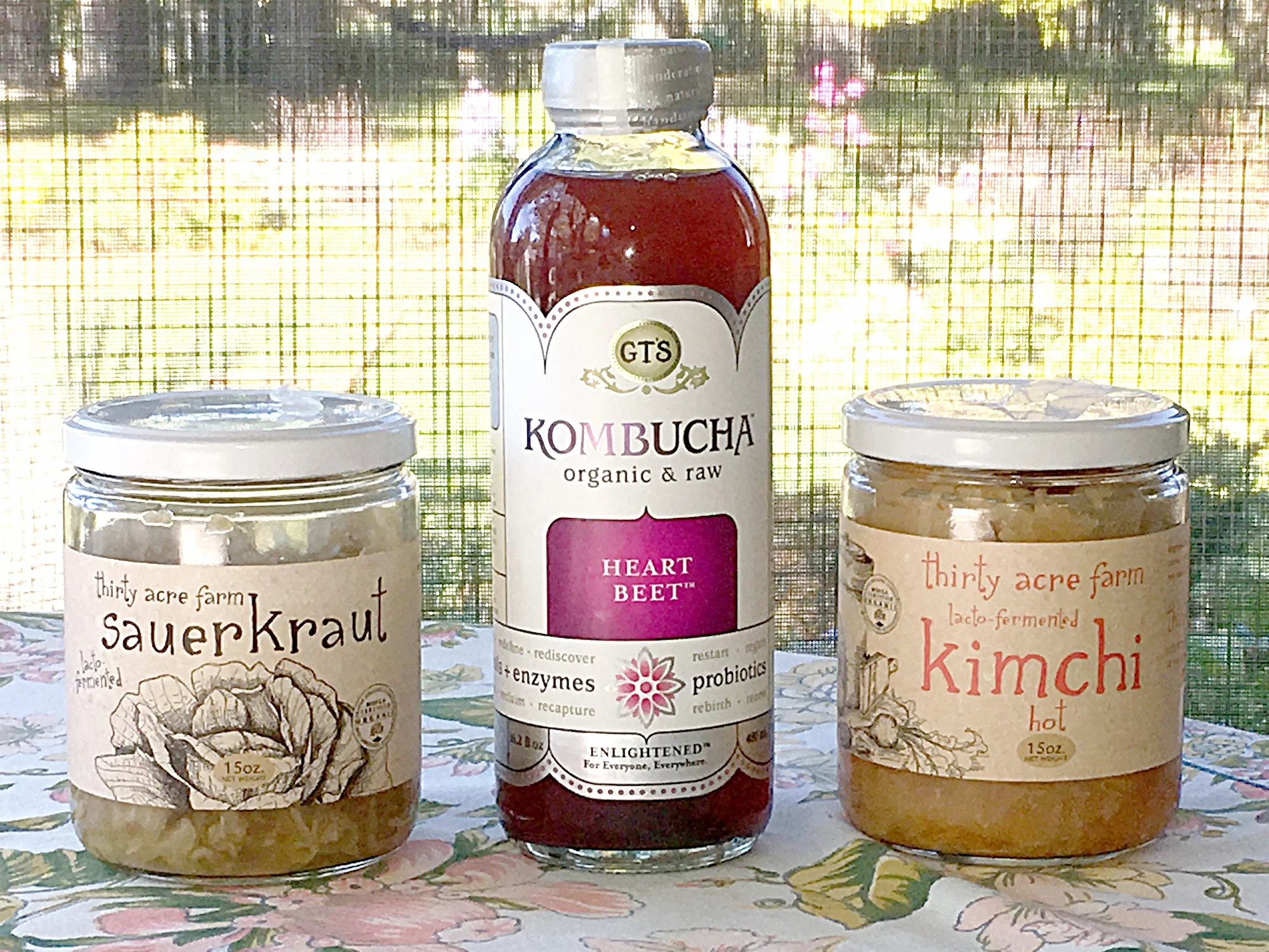 Probiotics-from-Food.jpg