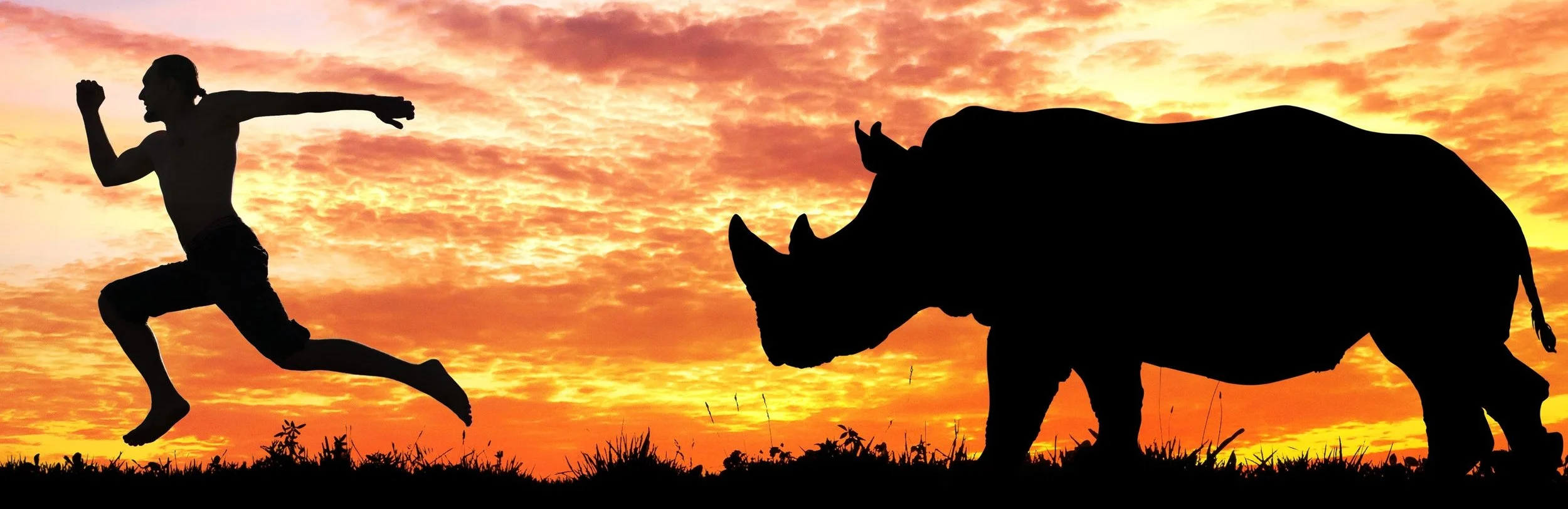 Man running from rhino cropped.jpg