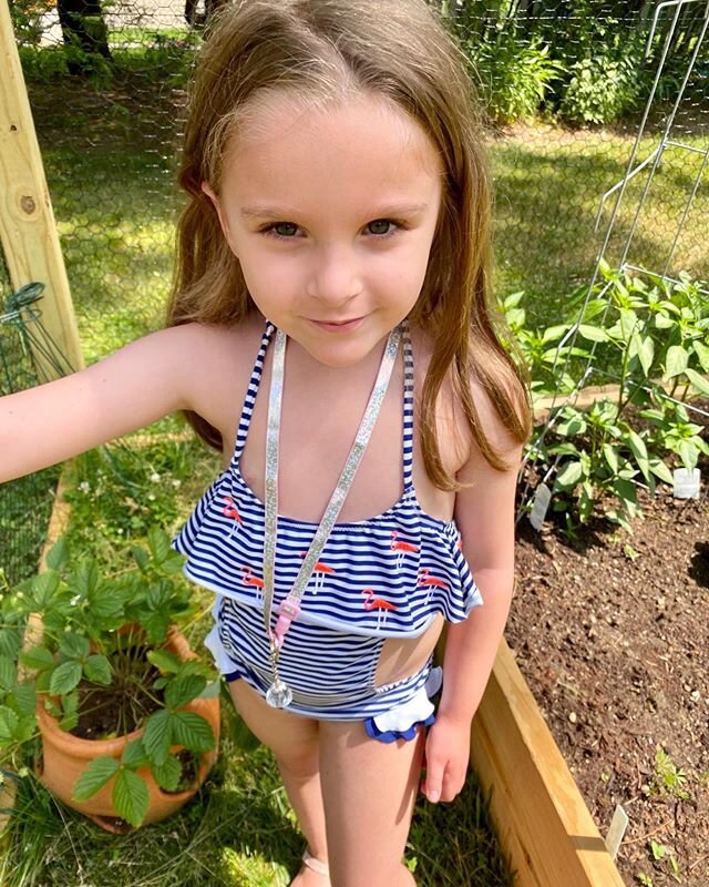 Look what I found growing in the garden🌸🐛🦋🥕🥬