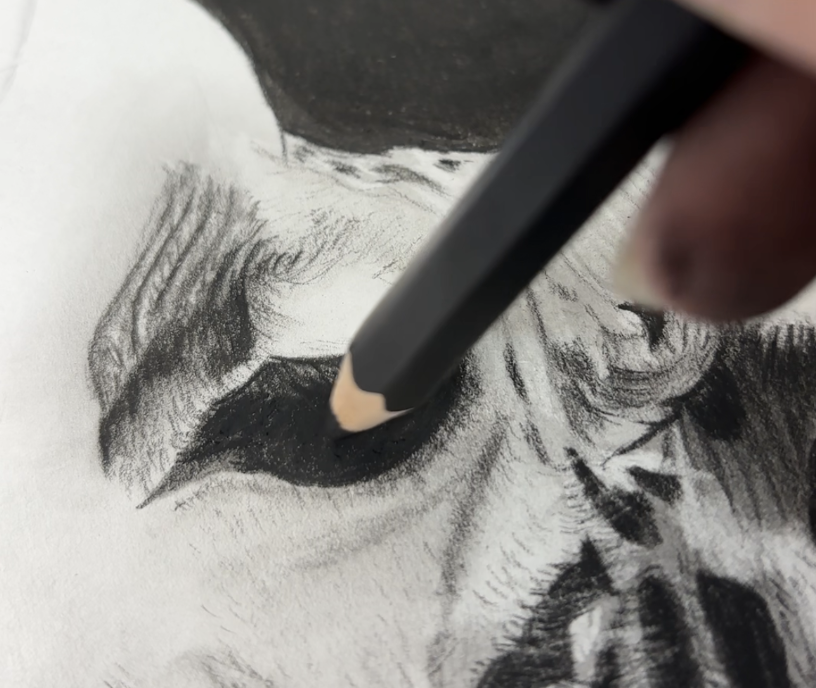 Screenshot 2025-03-12 at 11.09.19 PM.png