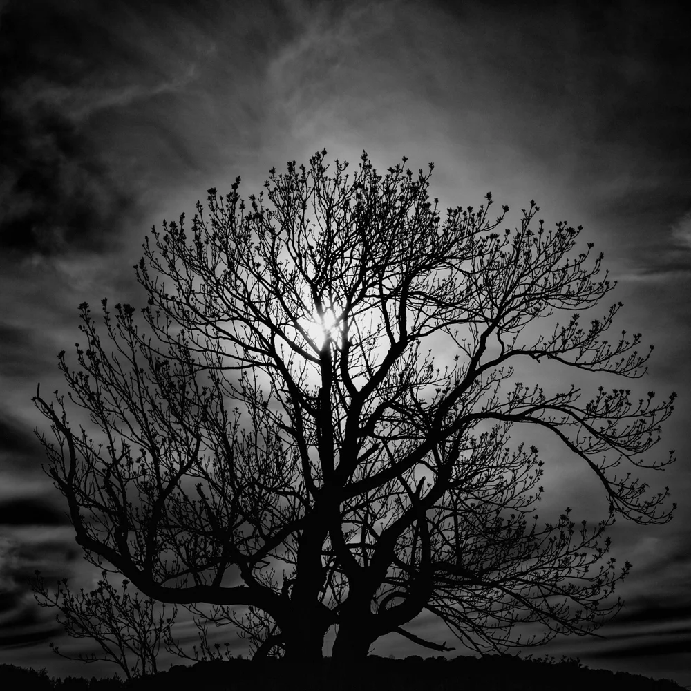 _P1D2102-Edit.jpg