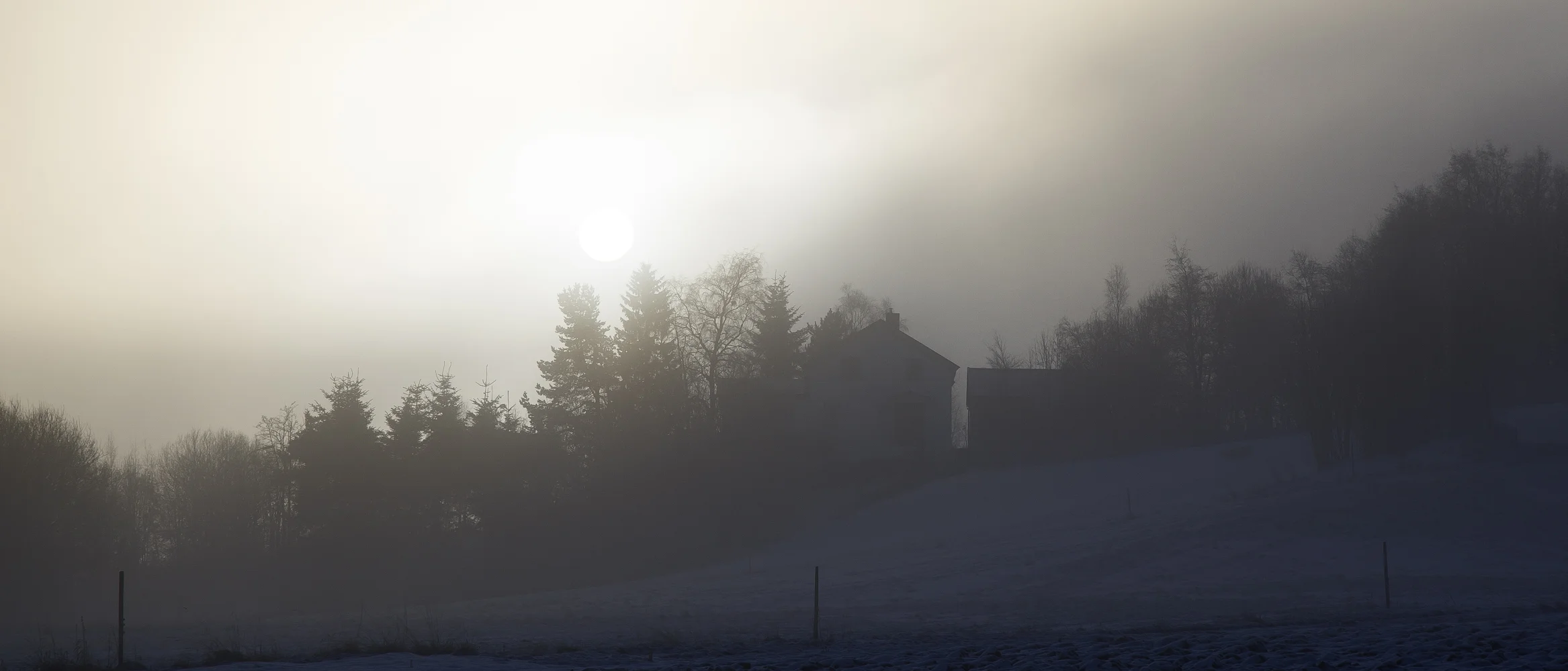 _P1D1230-Edit.jpg