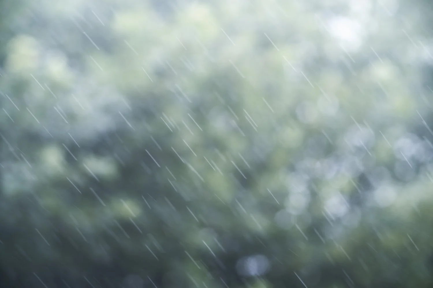 _DSF4589-2-Edit-2.jpg