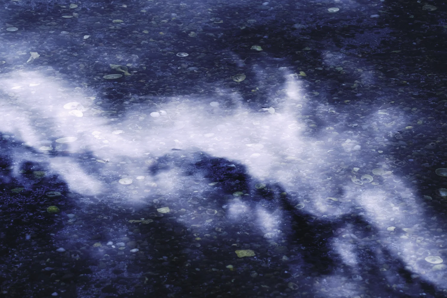 _DSF4878-Edit.jpg