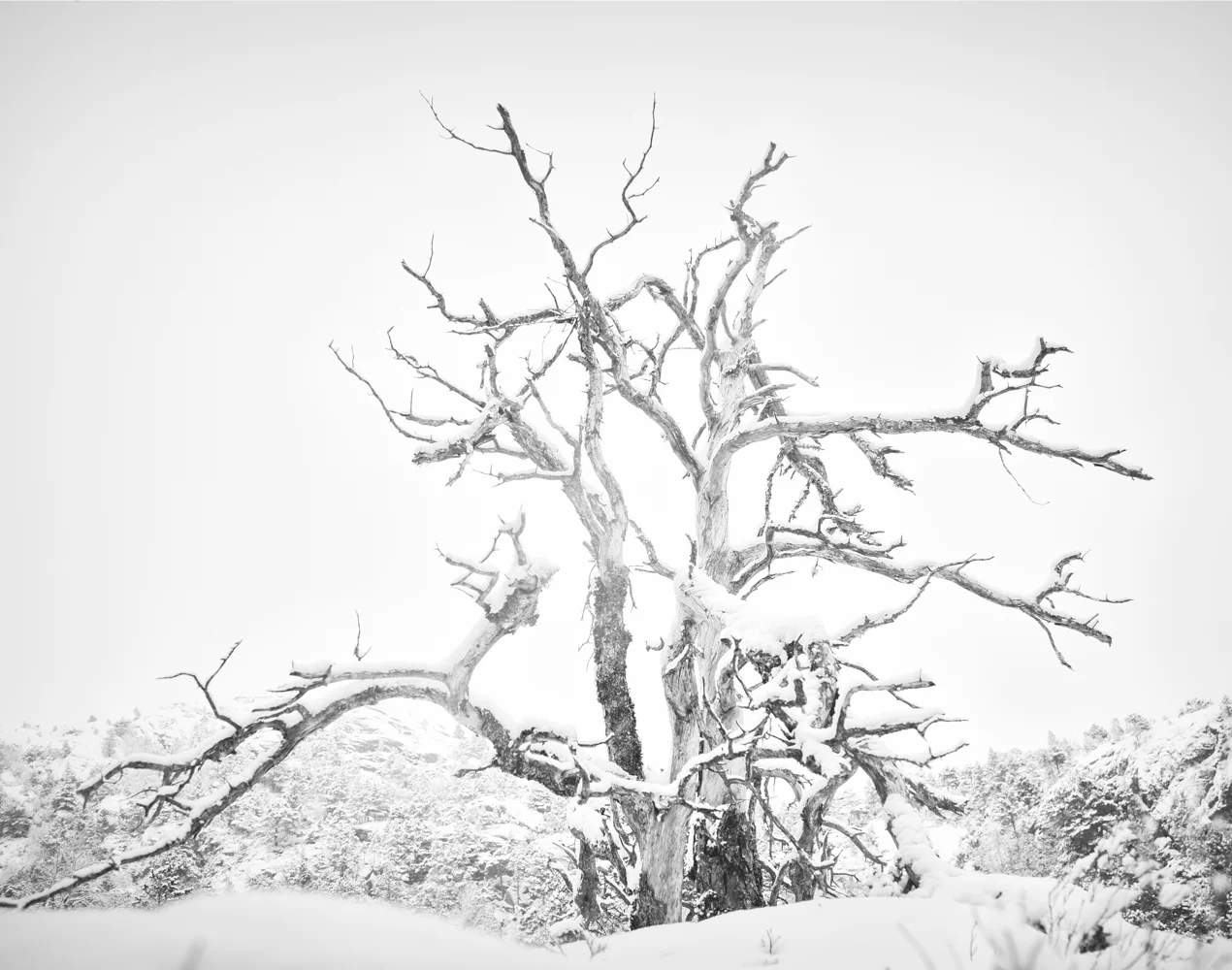_85A0632-Edit-3.jpg
