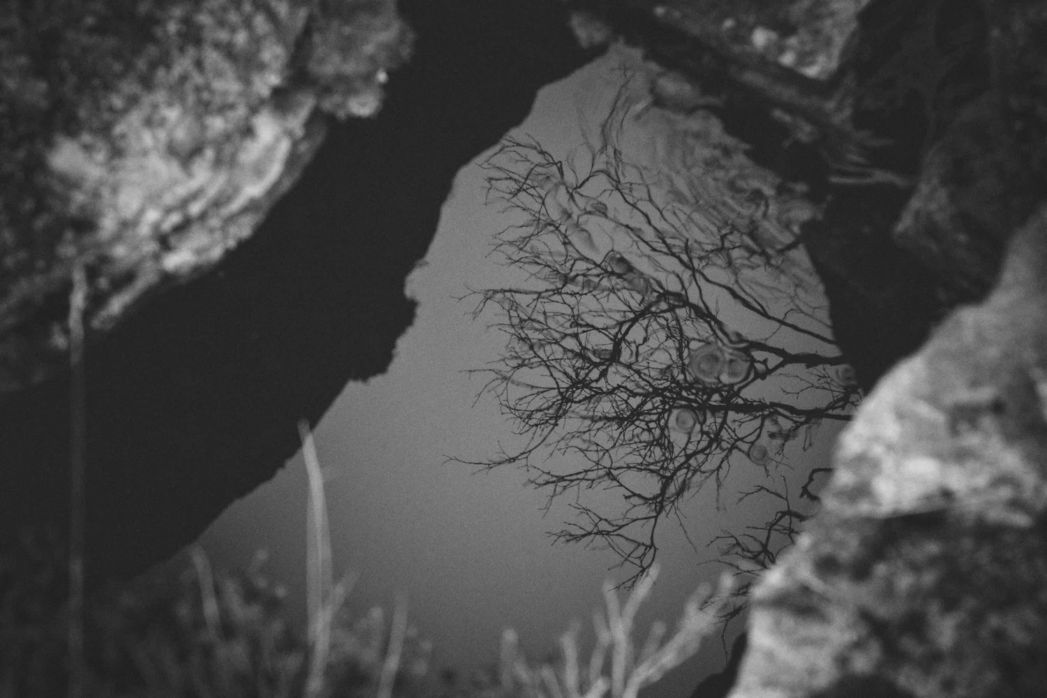 _85A4630-2-Edit.jpg